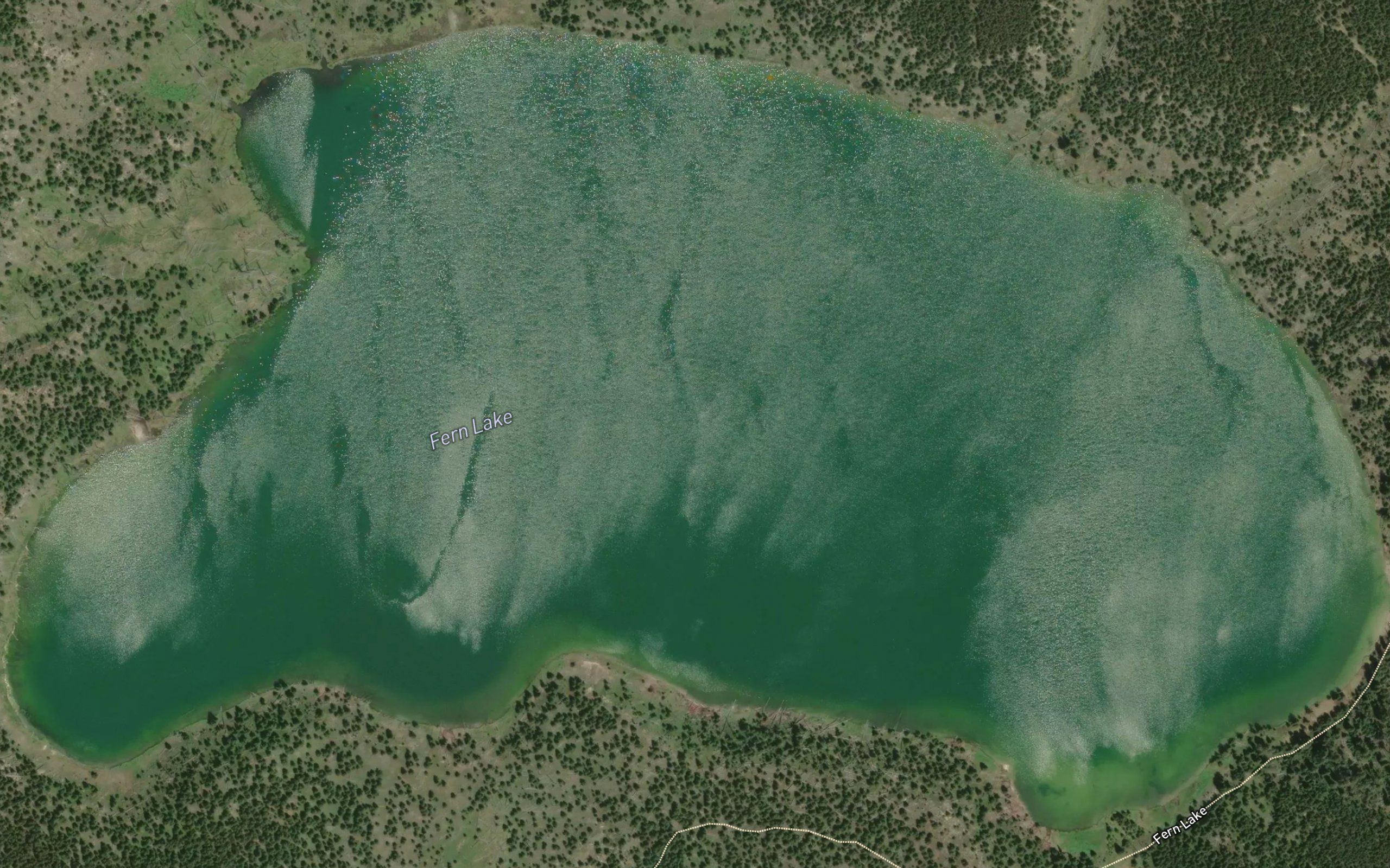 Fern Lake