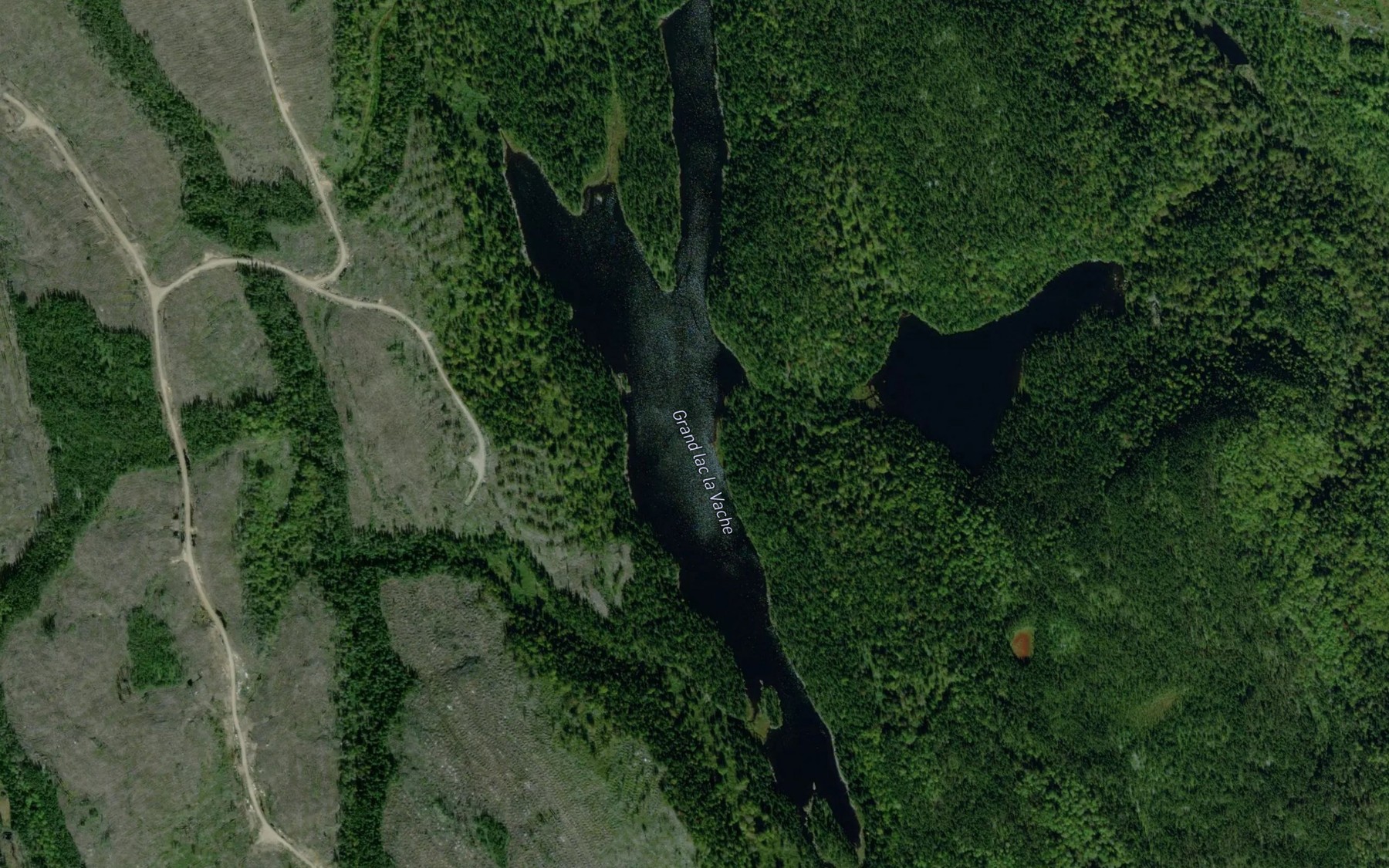 Satellite map of the Grand lac la Vache