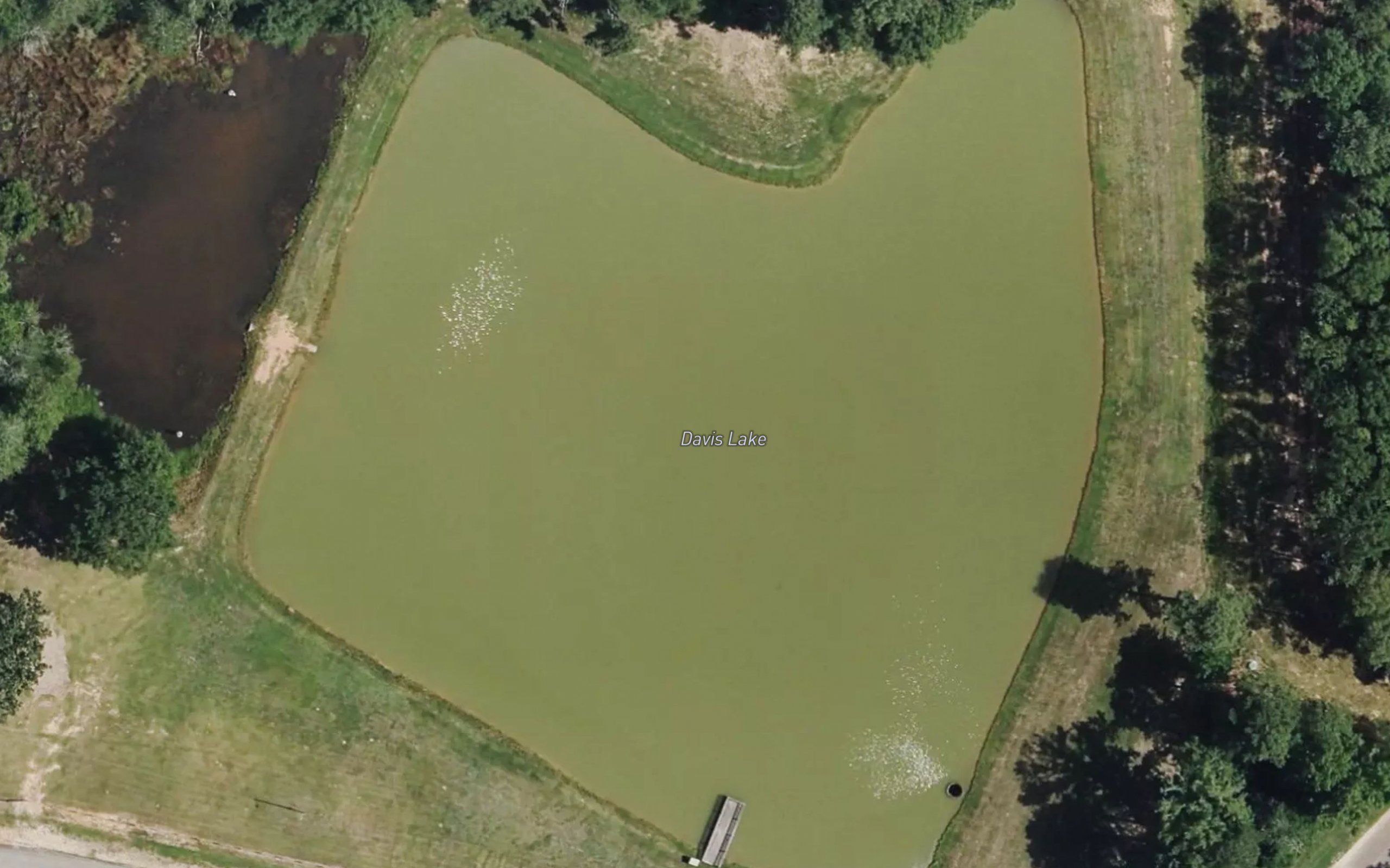 Davis Lake