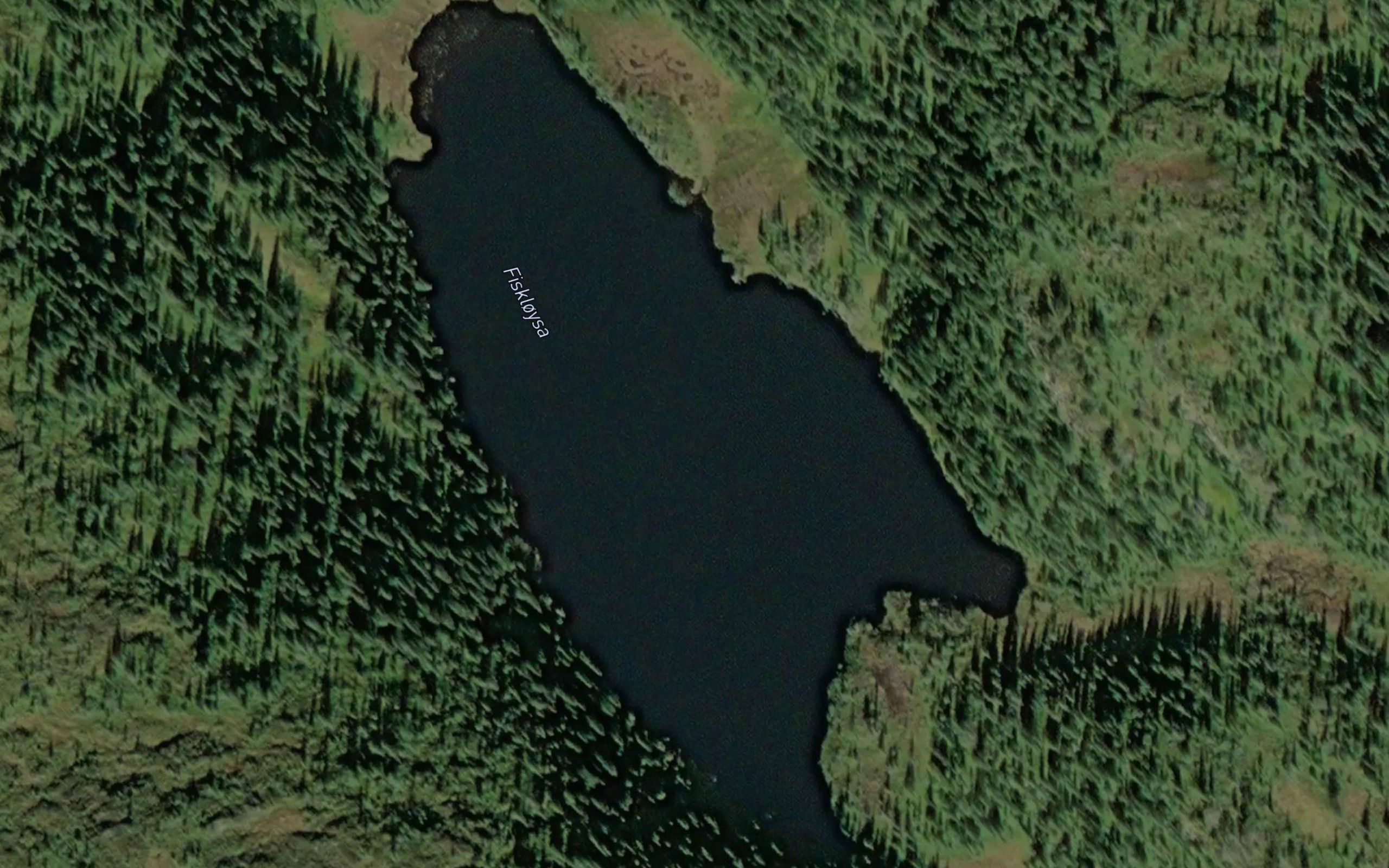 Fiskloysa