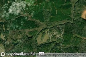 Hoyle Branch