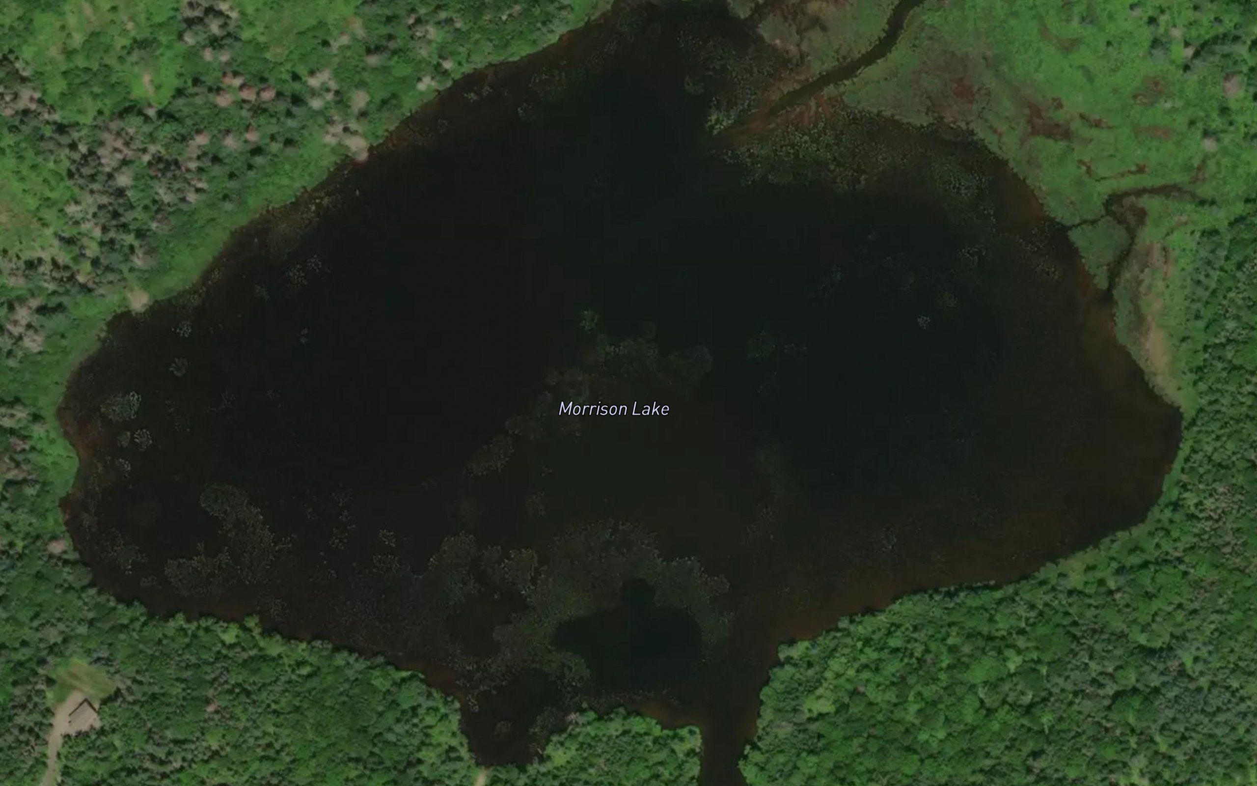 Morrison Lake