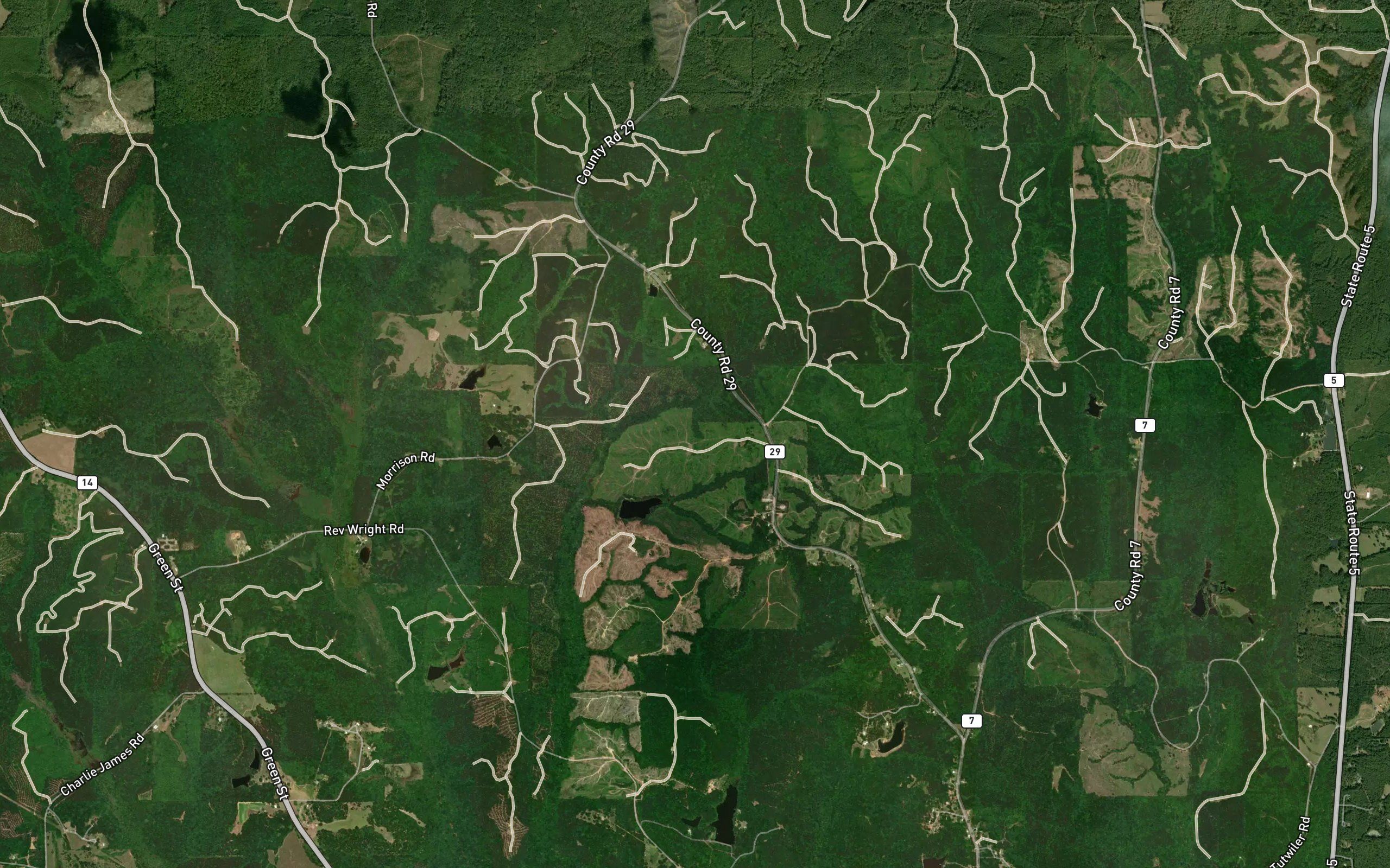Rice Lake