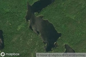 Liver Lake