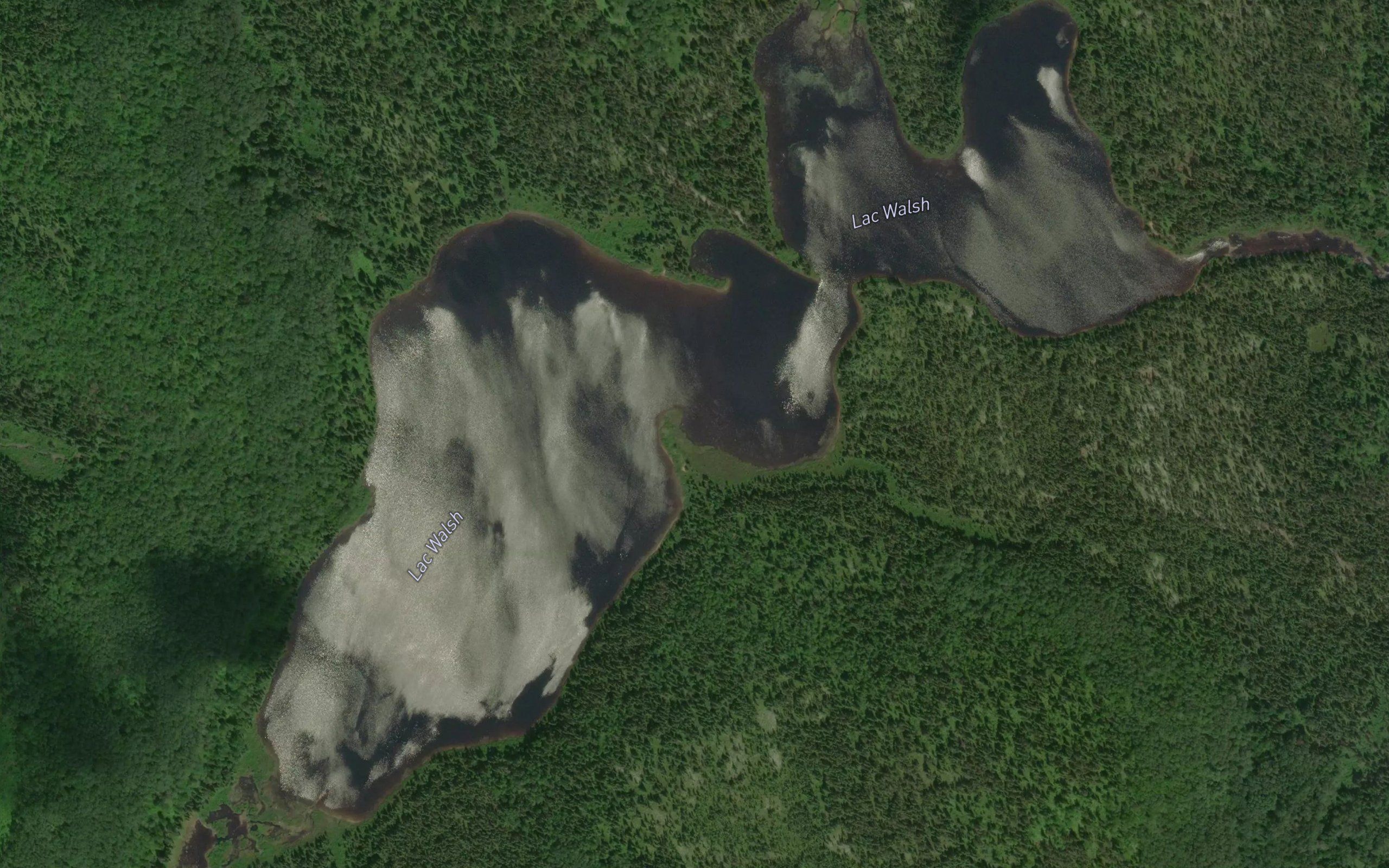 Lac Walsh
