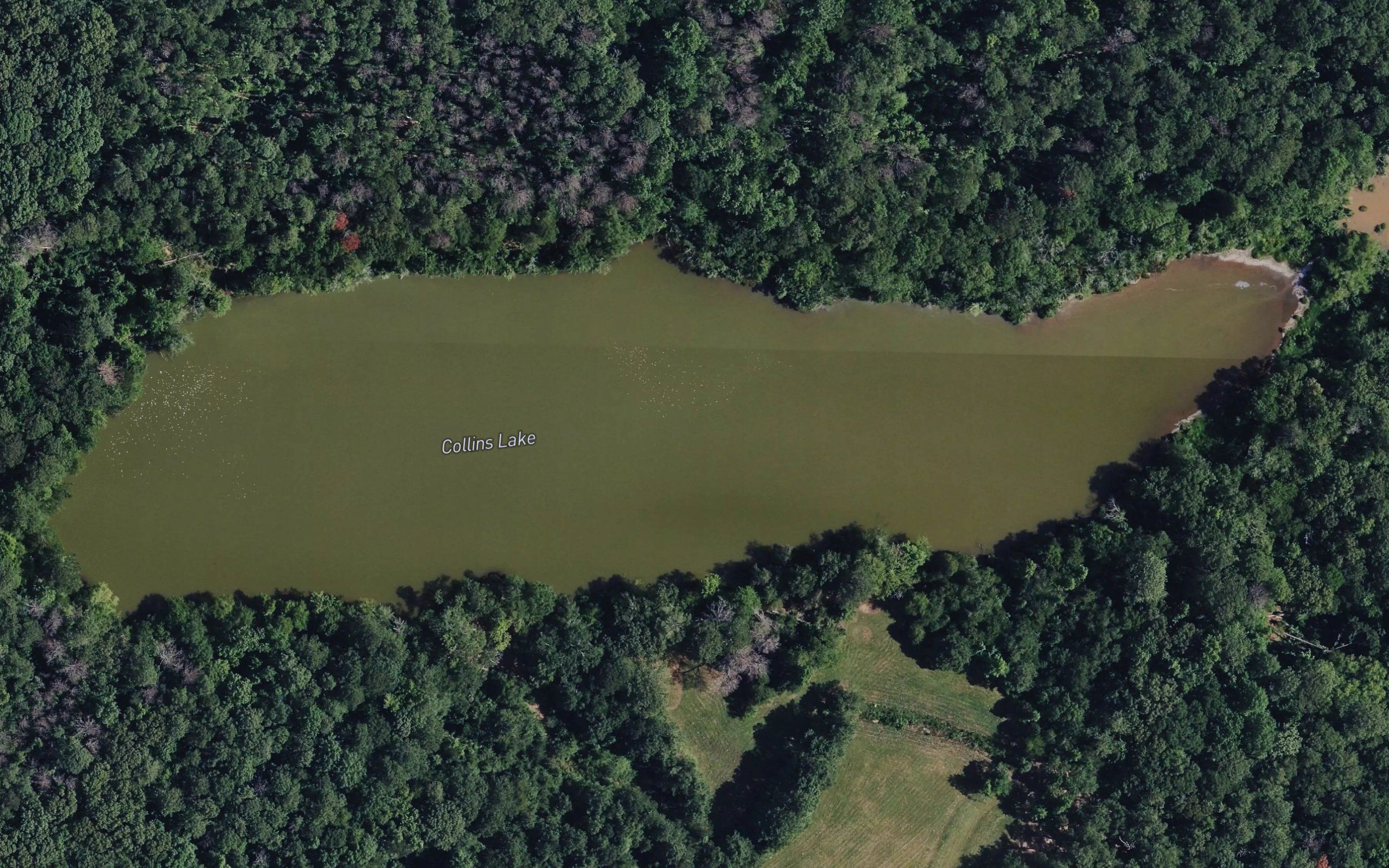 Collins Lake