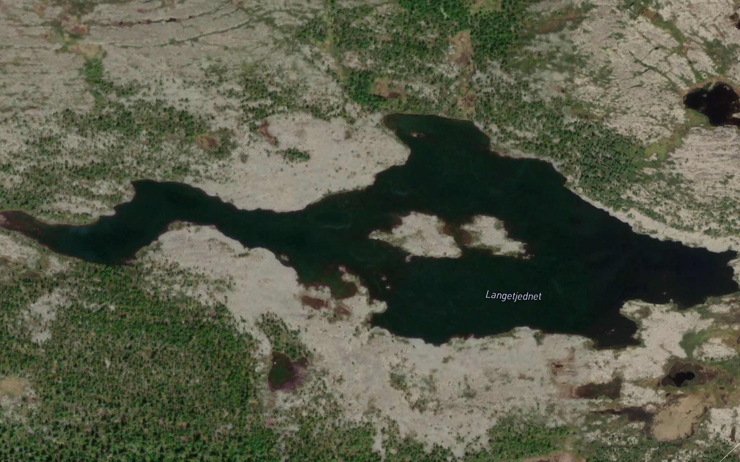 Langetjernet