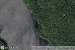 Aalisjarvi
