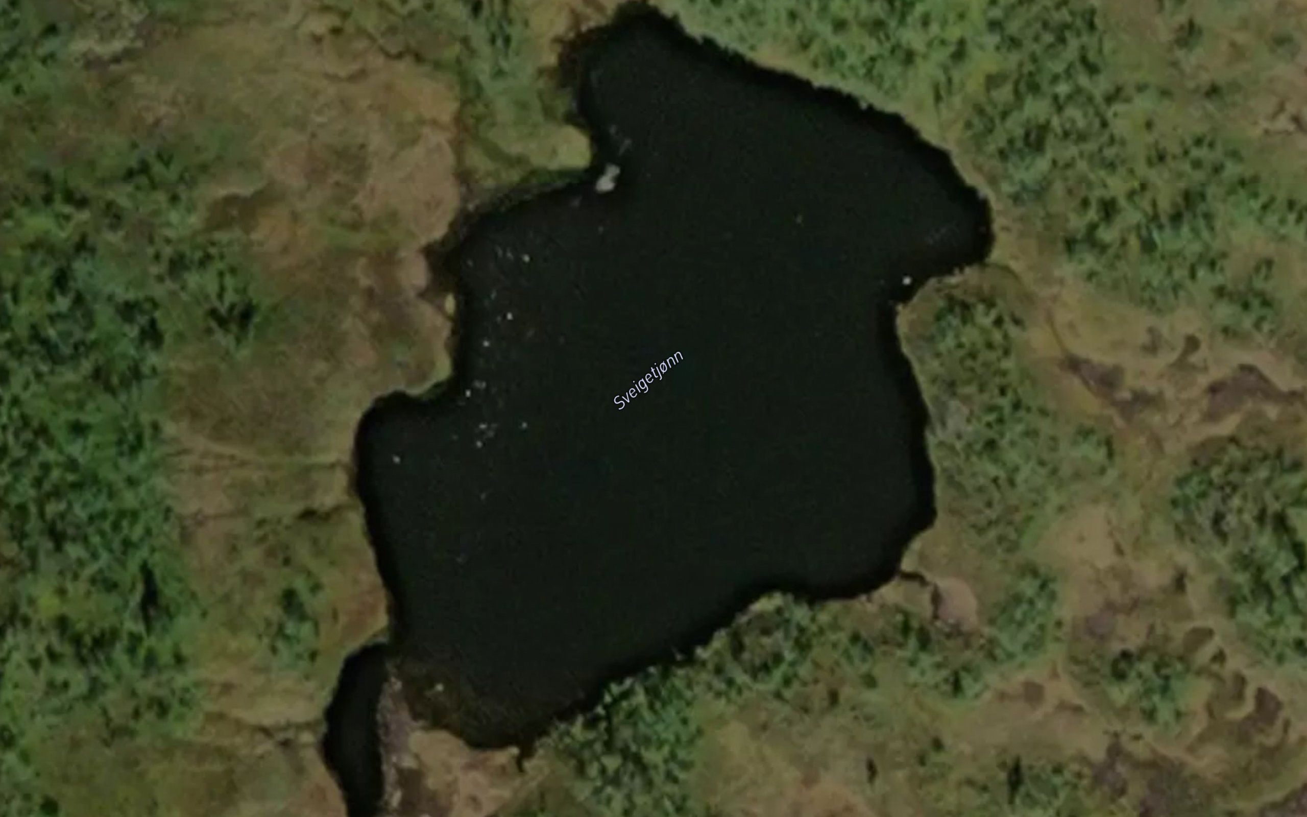 Sveigetjorni