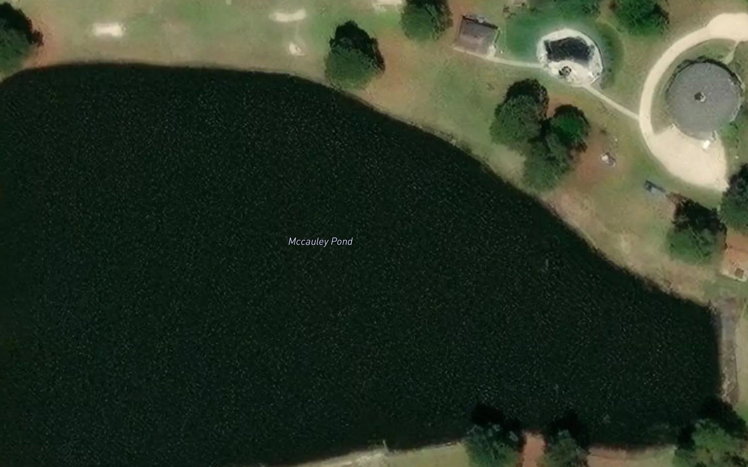 McCauley Pond