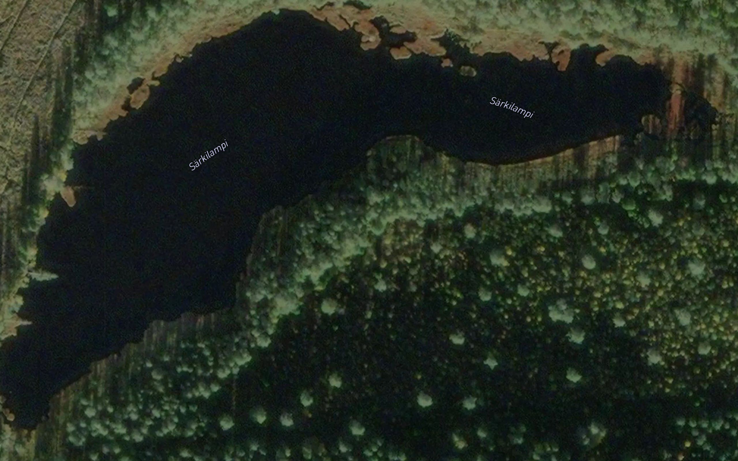 Sarkilampi