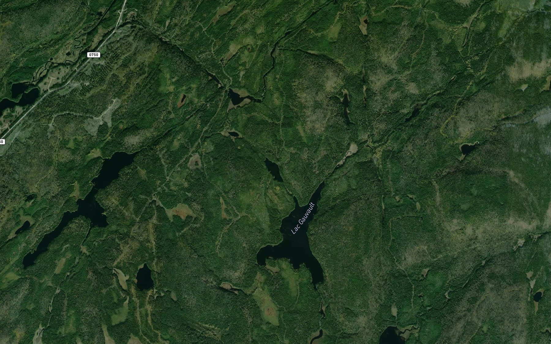 Satellite map of the Lac Zele