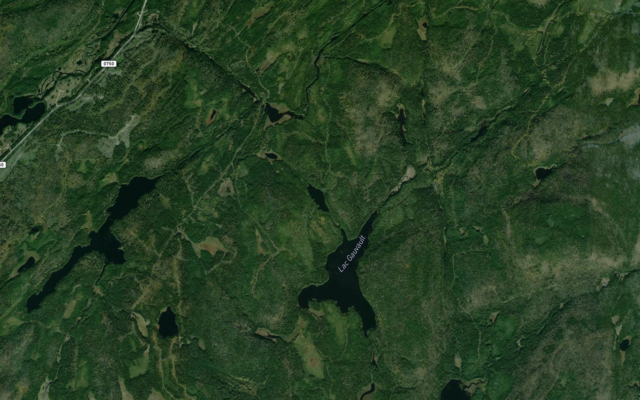 Lac Zele