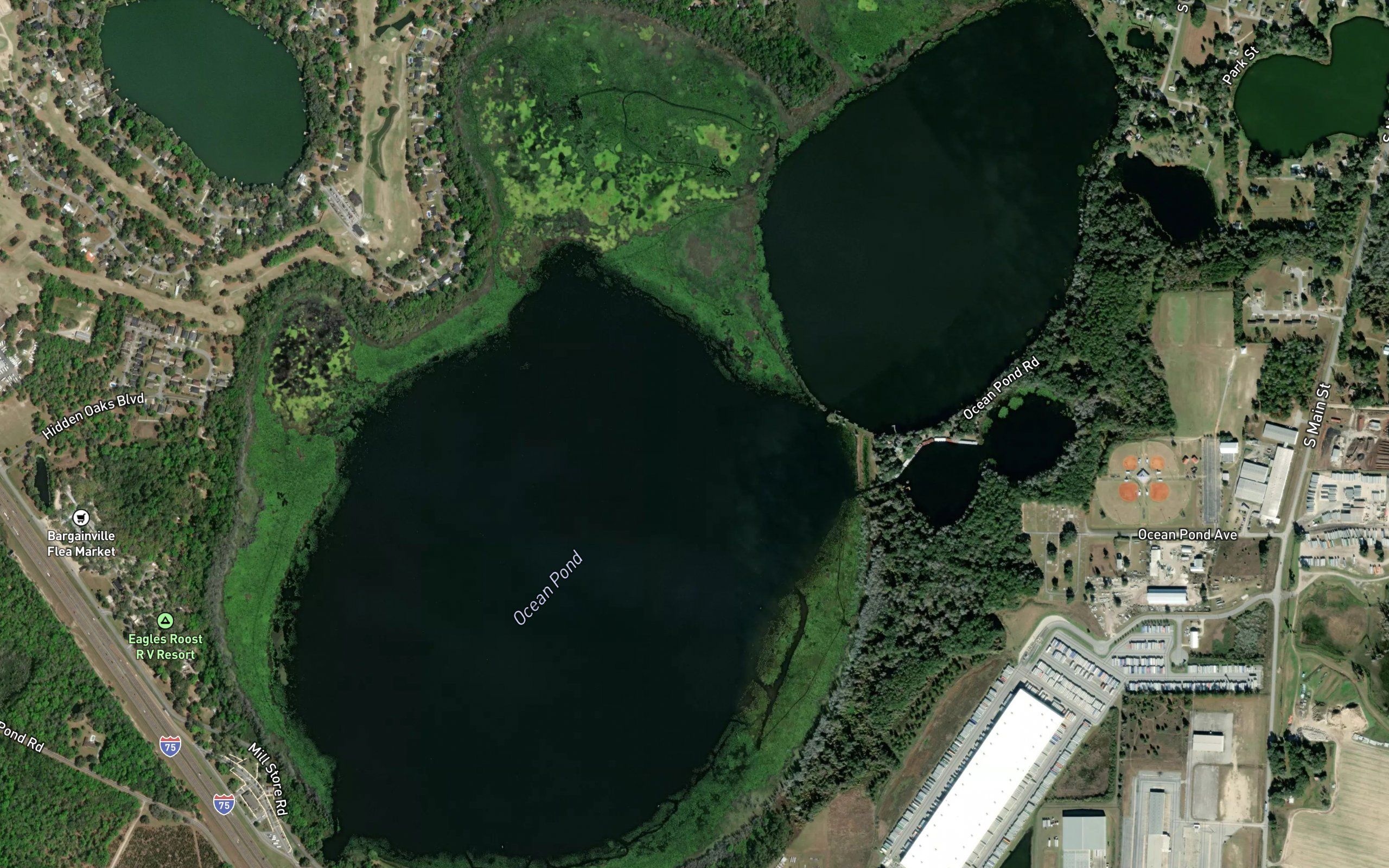 Ocean Pond
