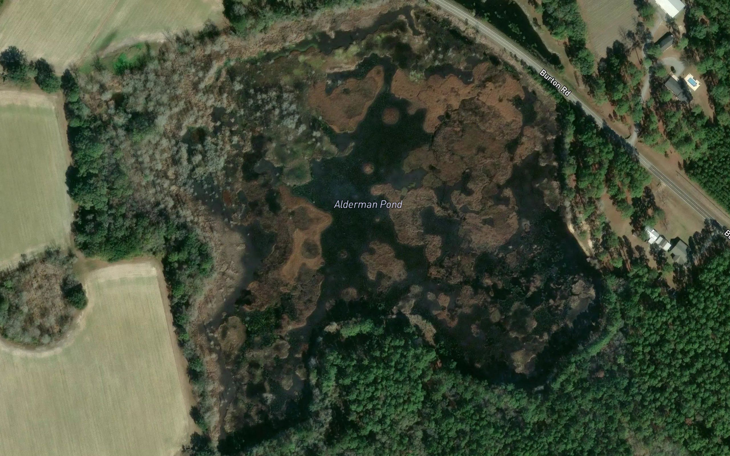 Alderman Pond