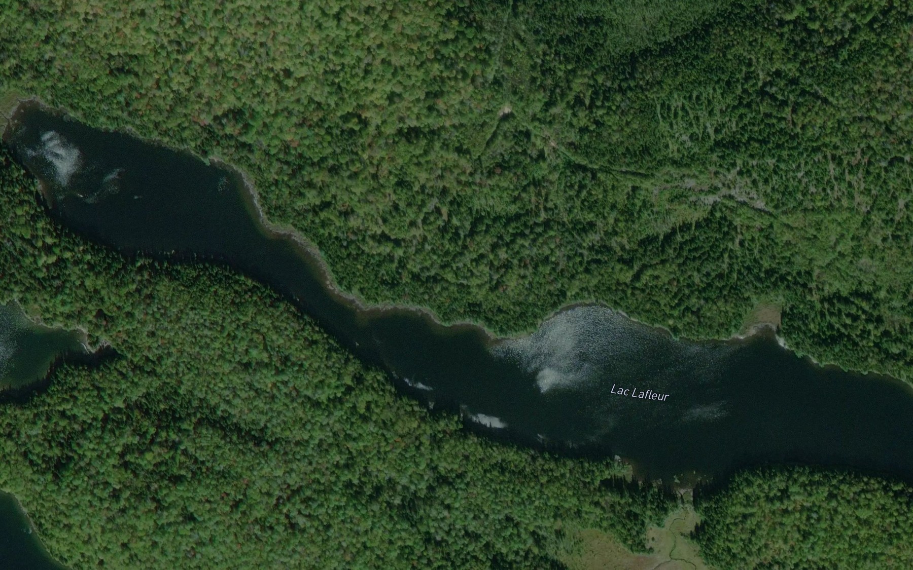 Satellite map of the Lac Lafleur