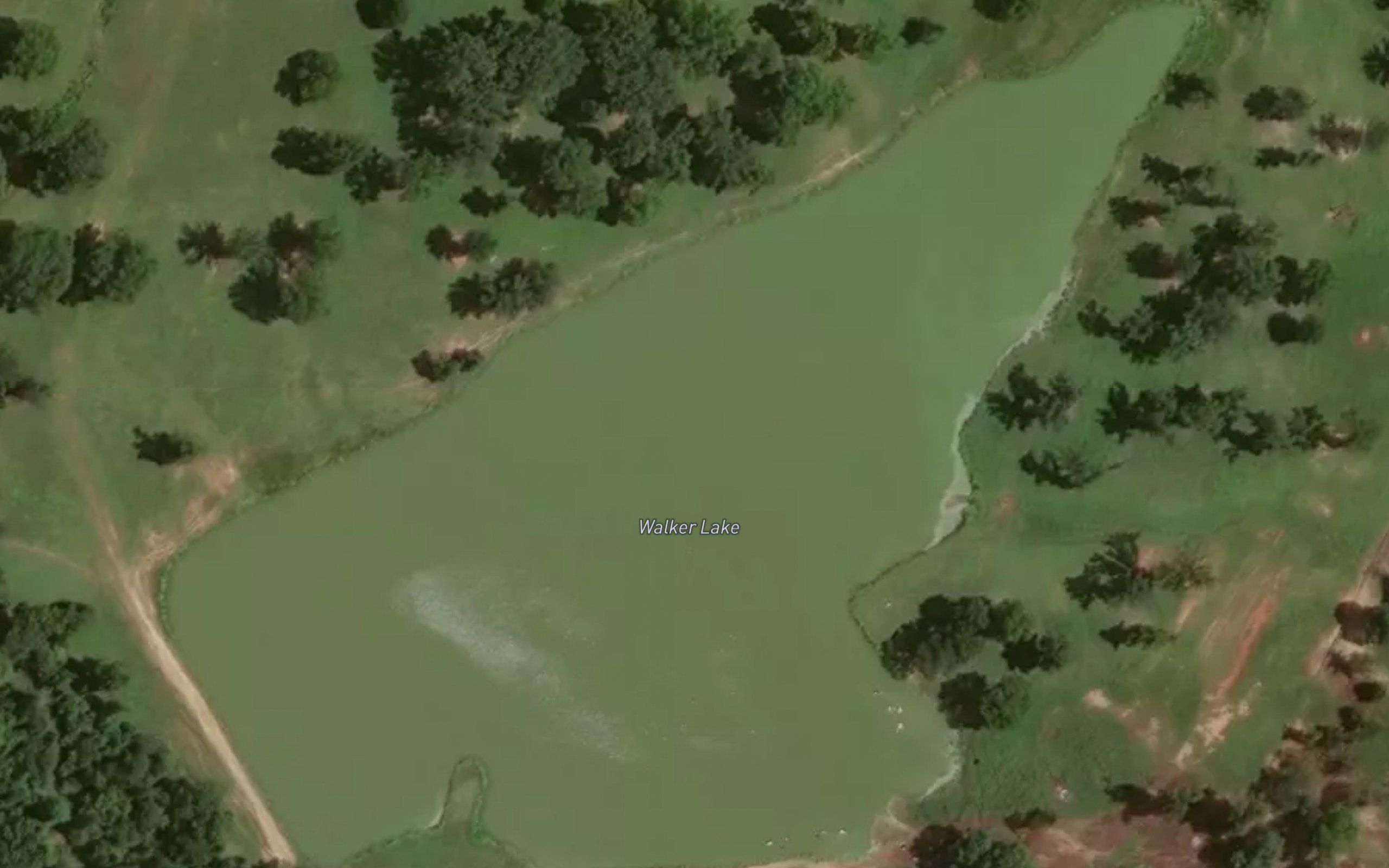 Walker Lake