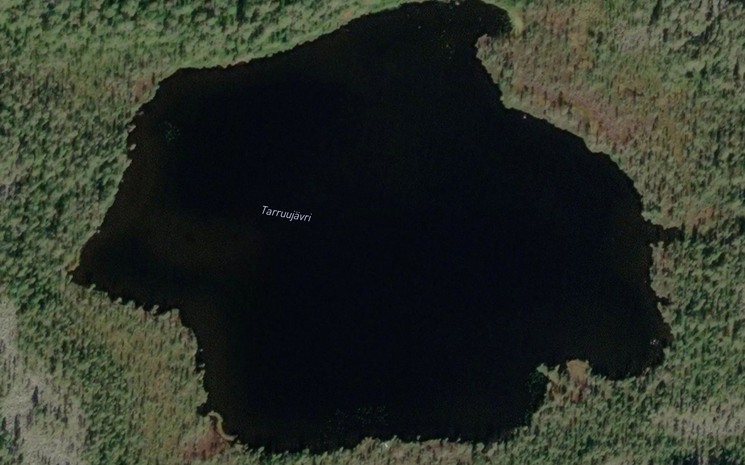 Tarruujavri