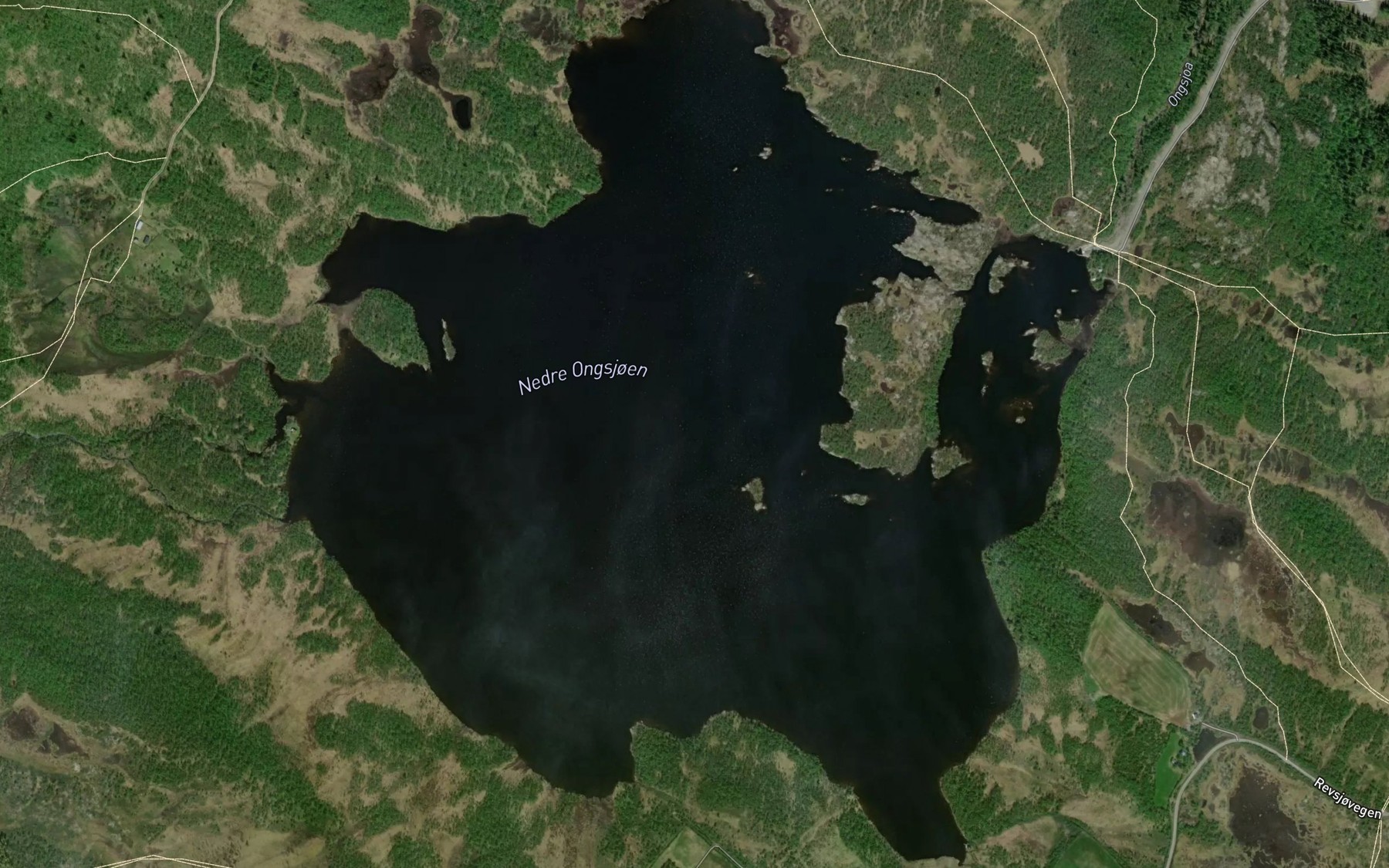 Satellite map of the Nedre Ognsjoen