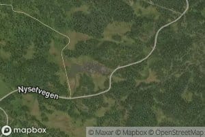 Austalitjednet