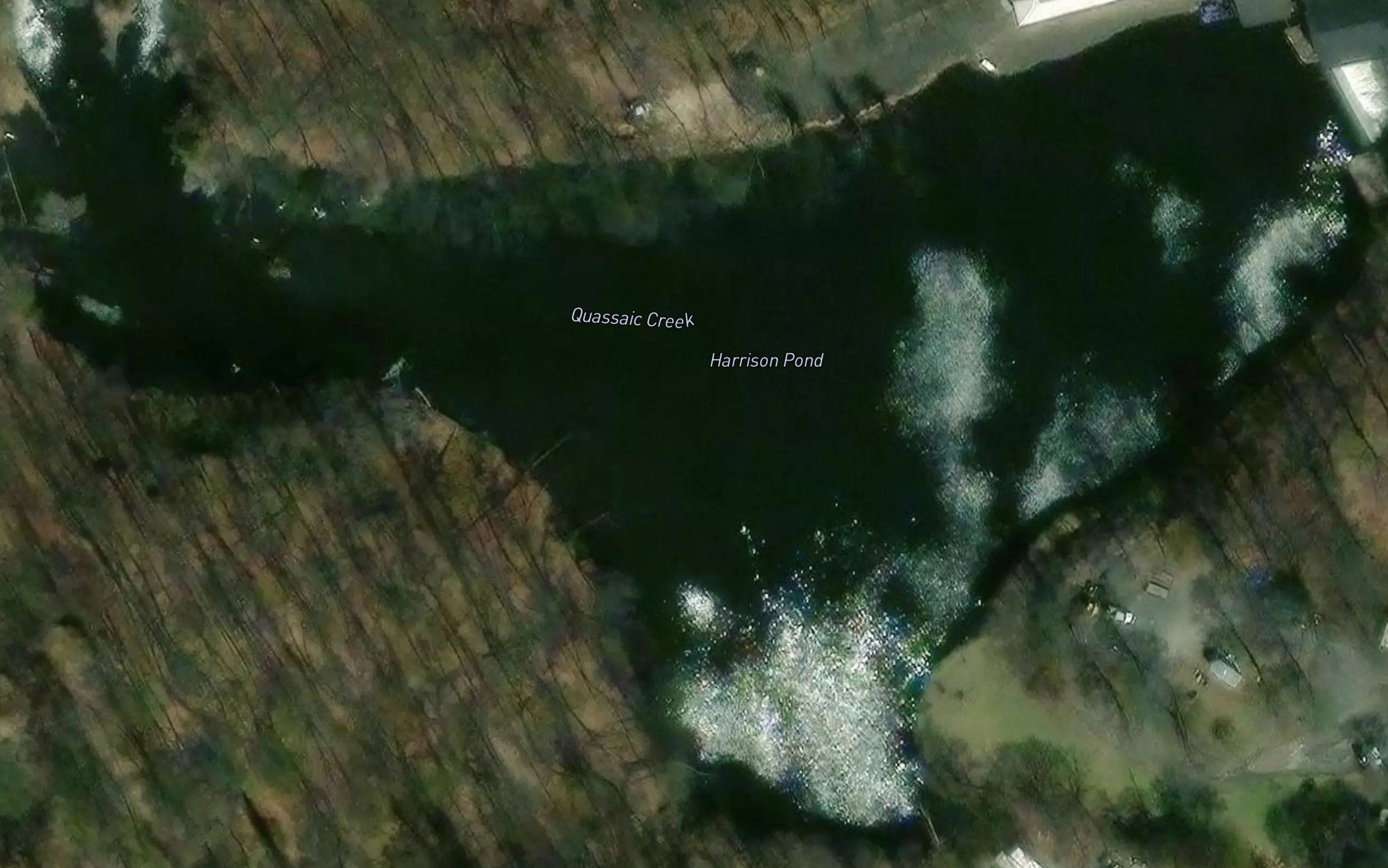 Harrison Pond
