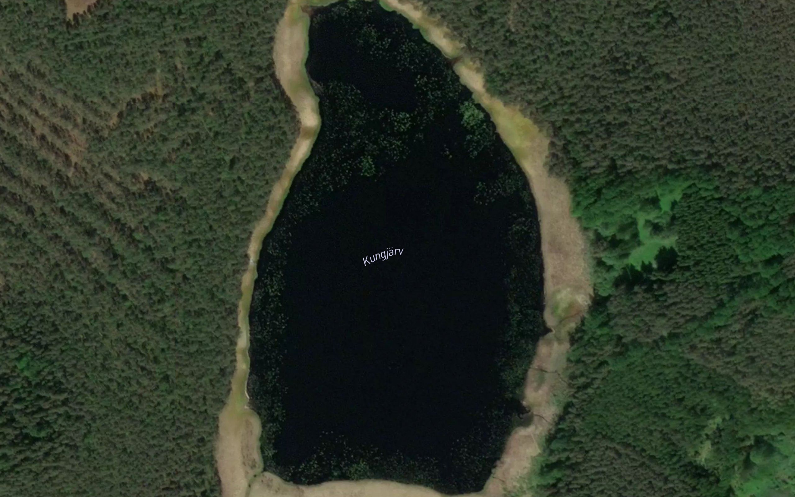Kungjarv