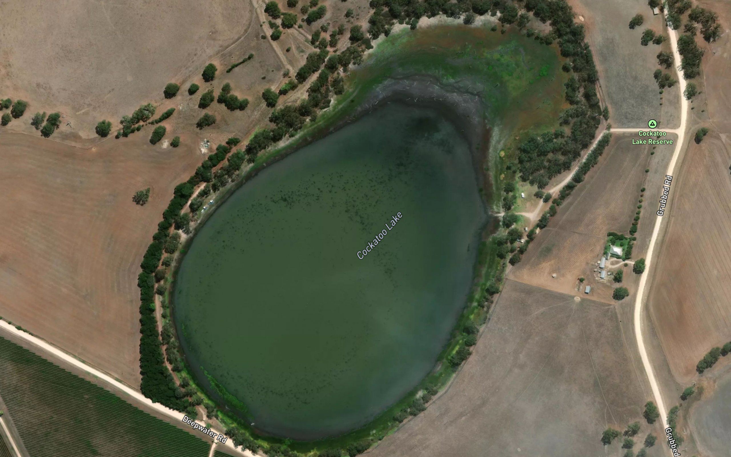 Cockatoo Lake