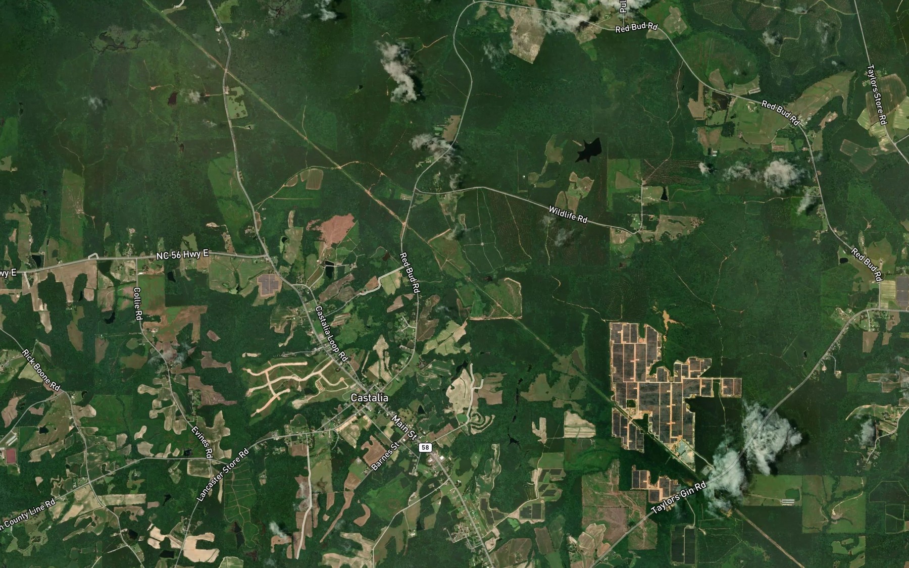 Satellite map of the Terry Branch