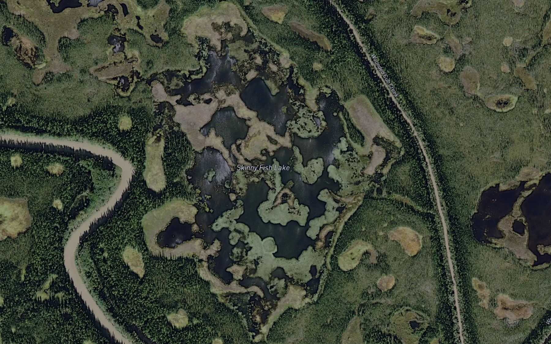 Satellite map of the Skinny Fish Lake
