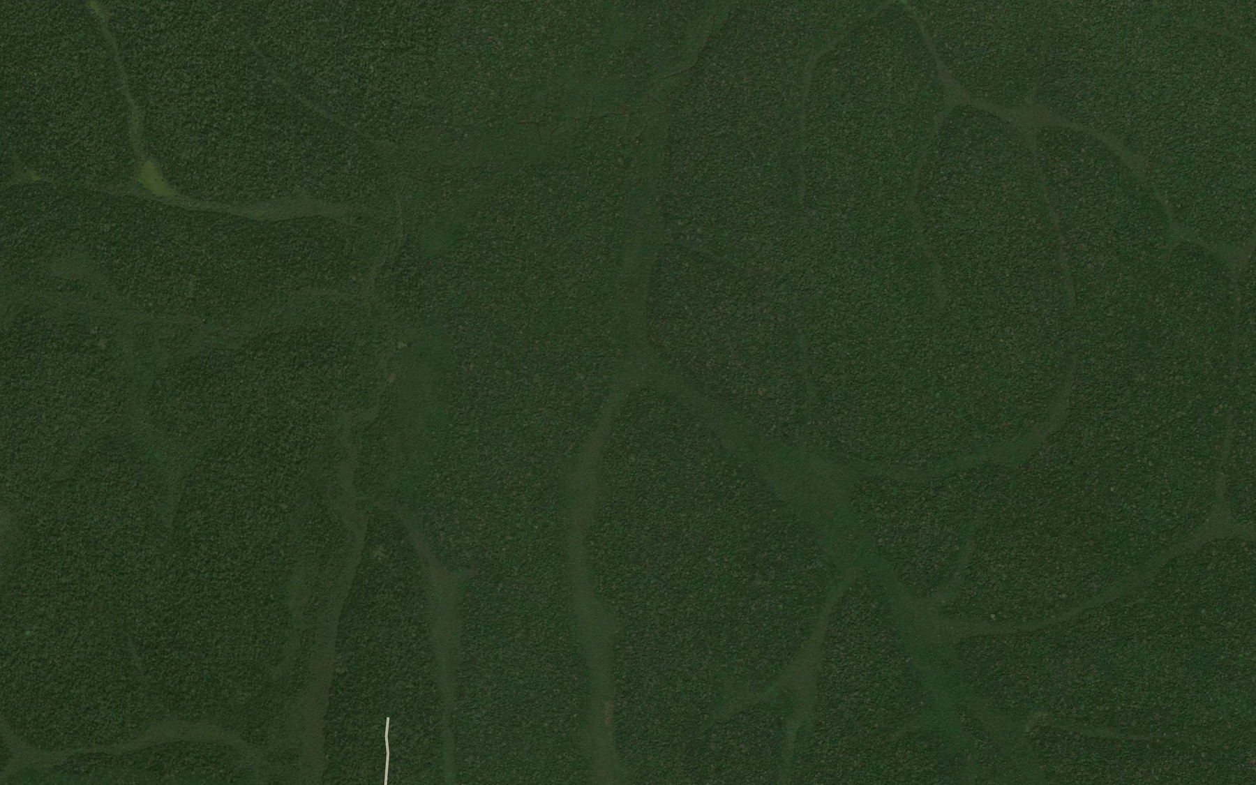 Satellite map of the Oka