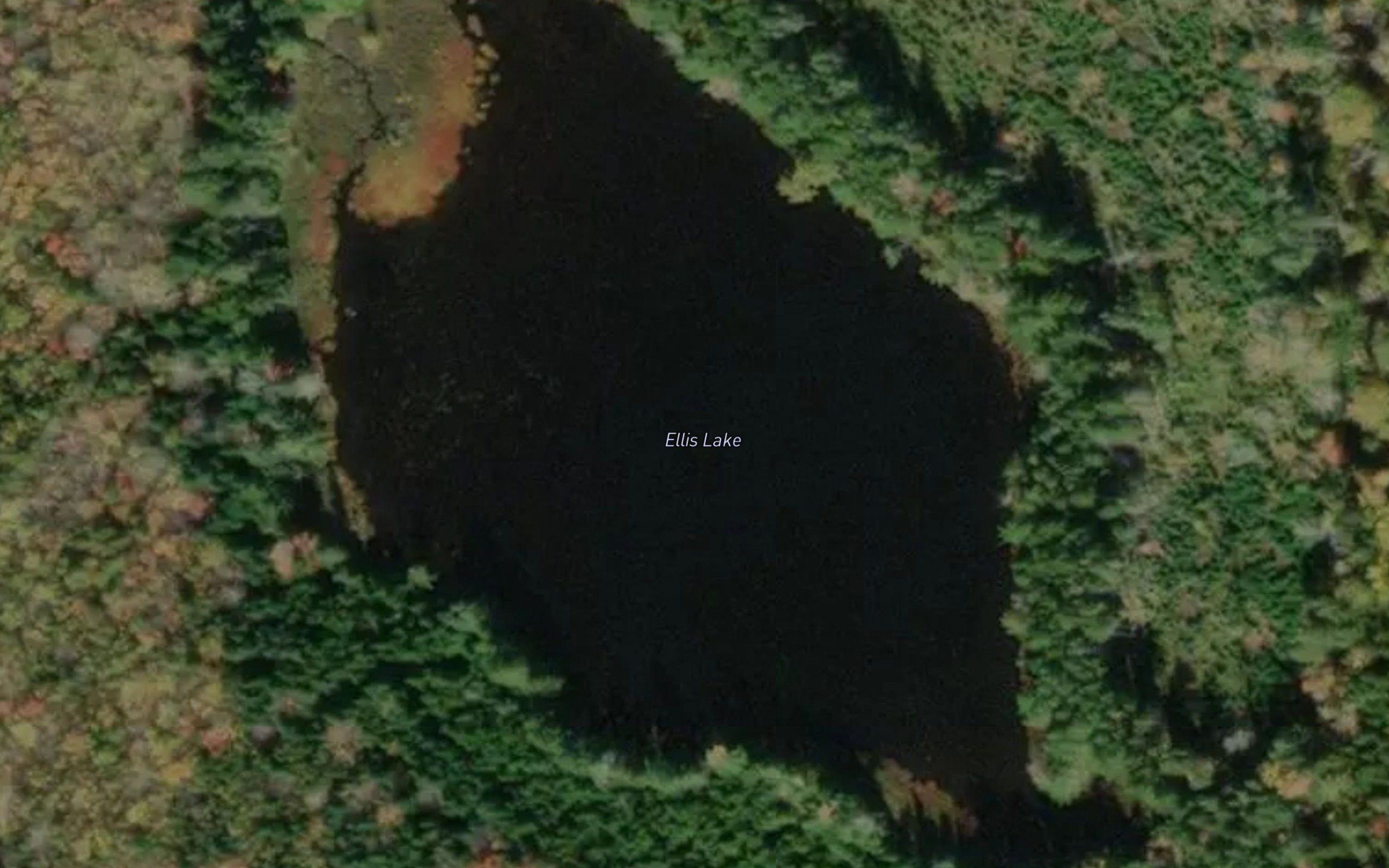 Ellis Lake