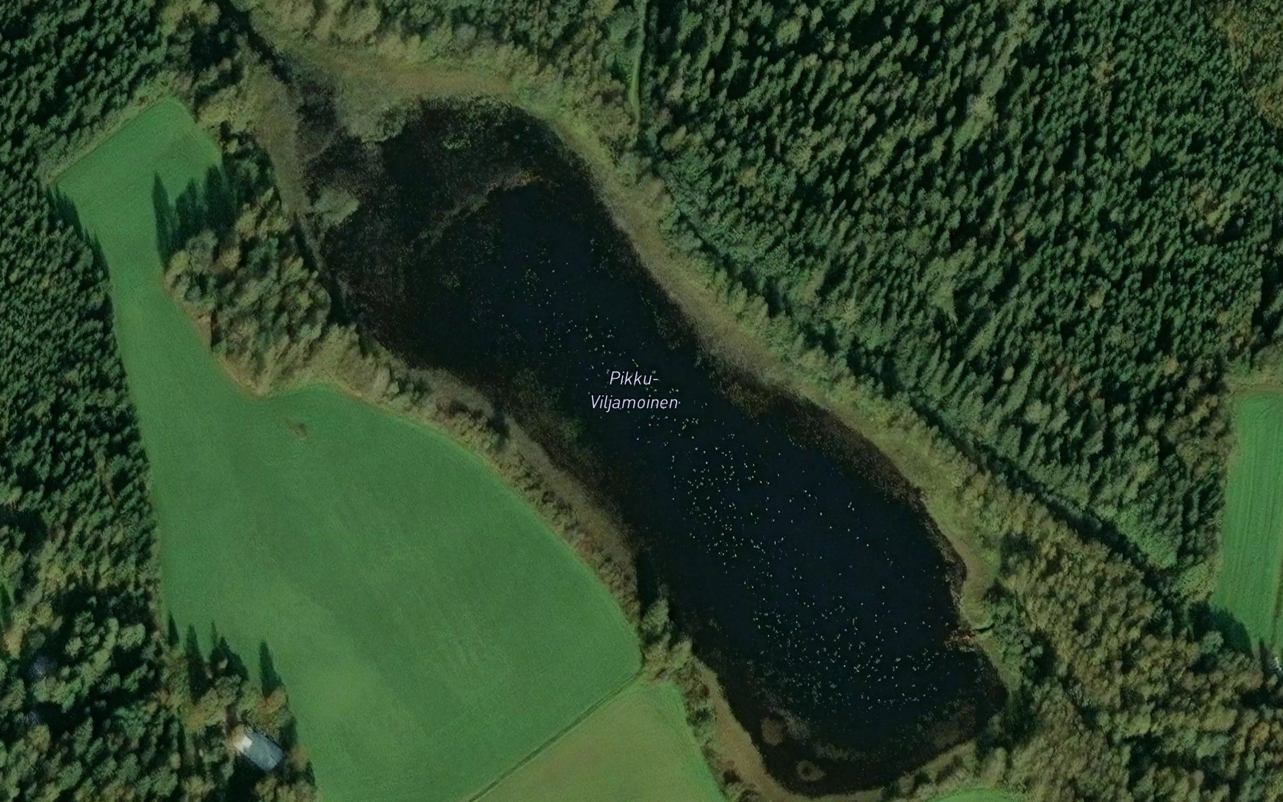 Pikku-Viljamoinen
