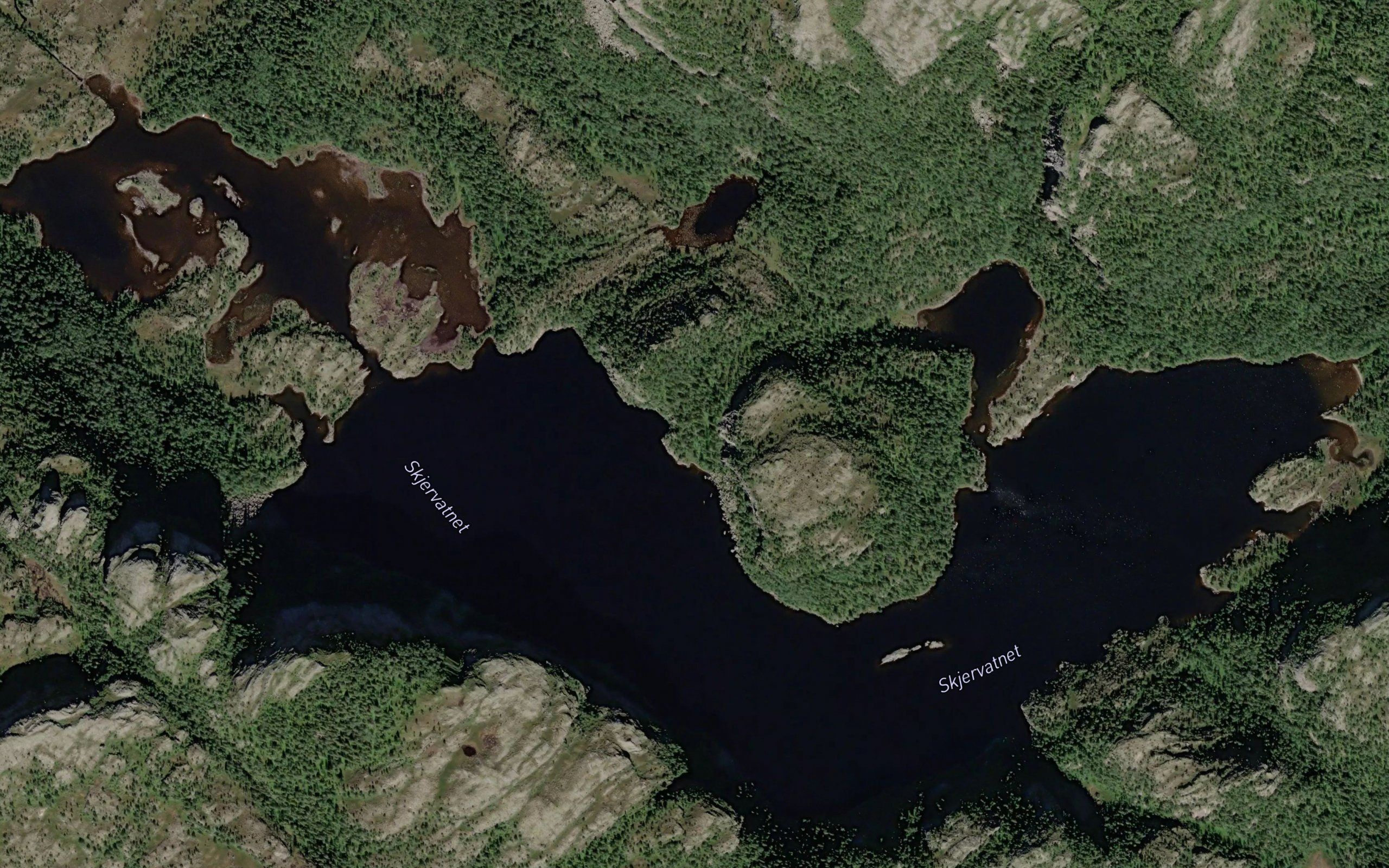 Skjervatnet