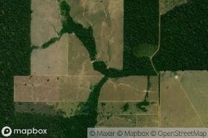 Igarape Braco Esquerdo do Jandaia