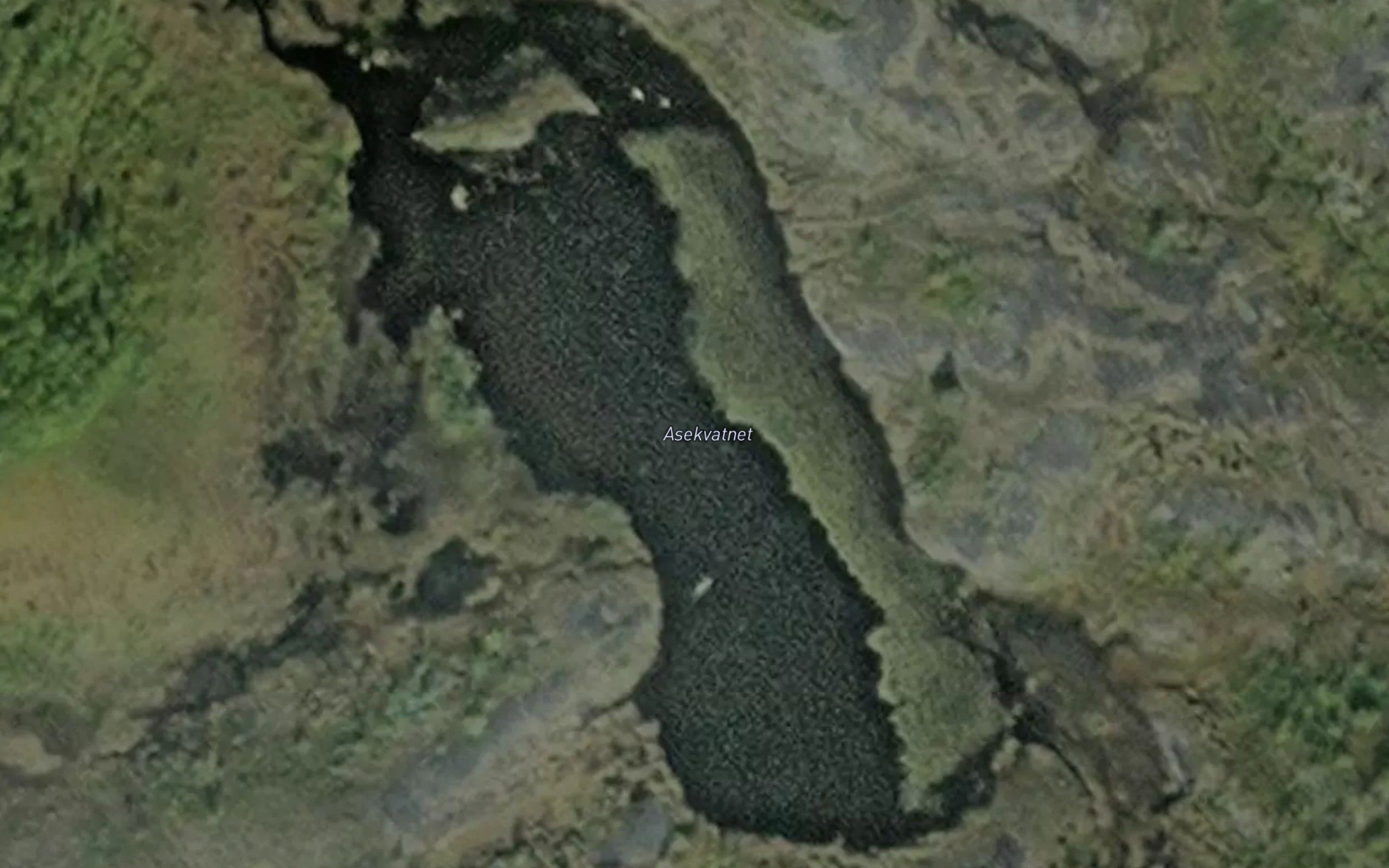 Asekvatnet