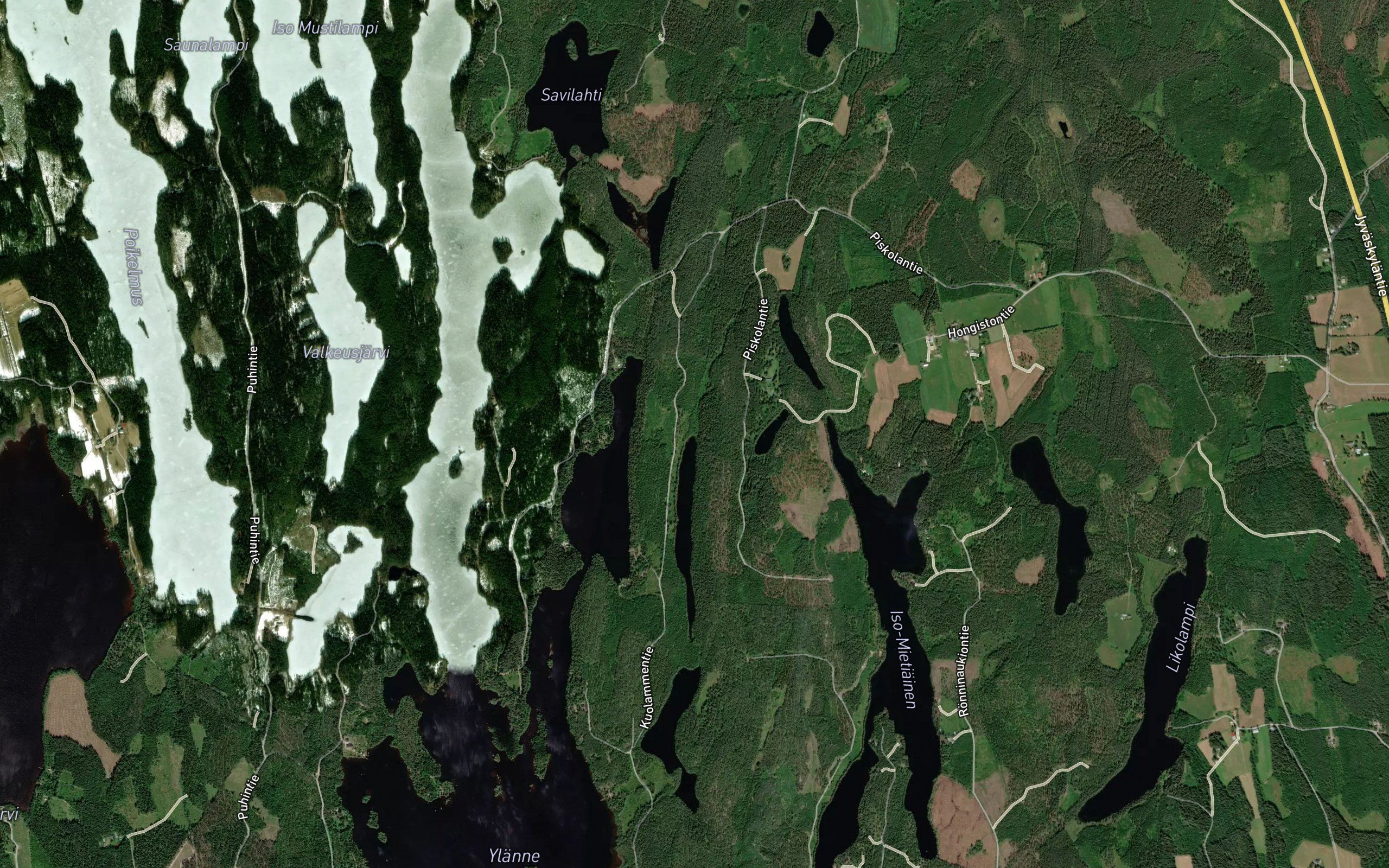 Kavojoki