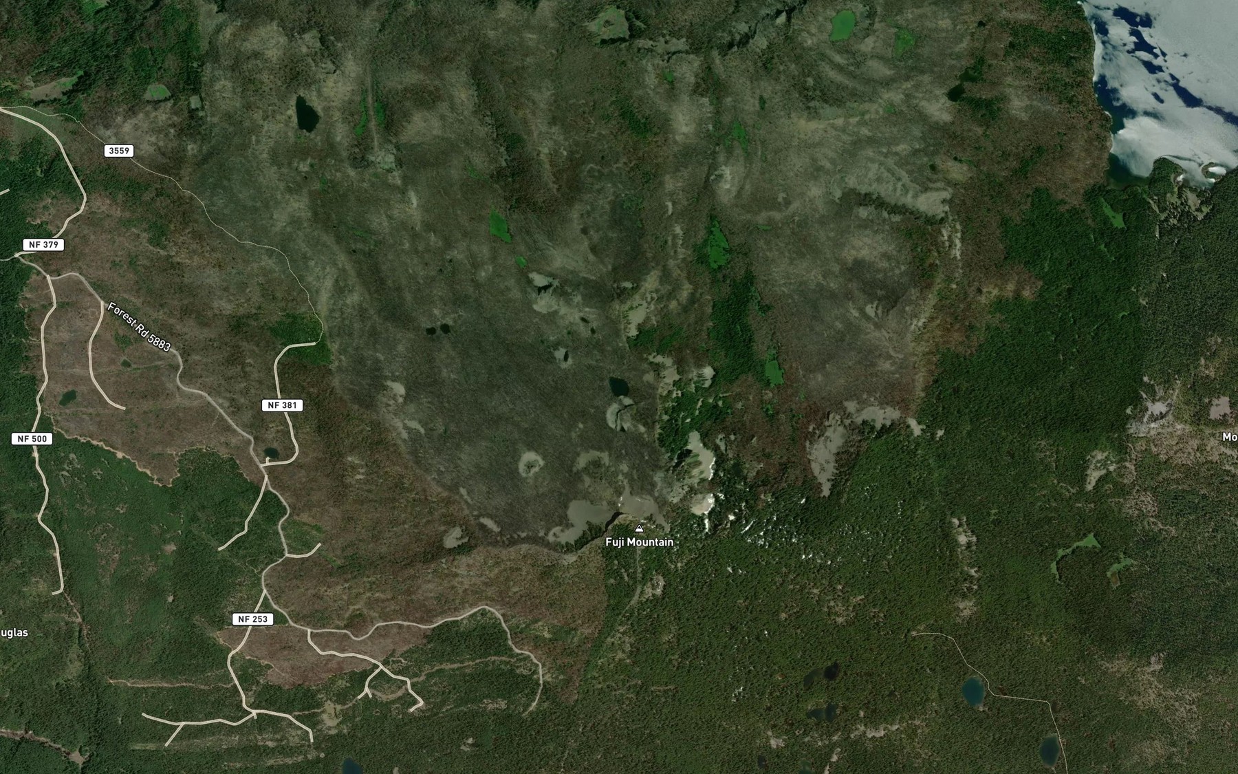 Satellite map of the Deer Camp Lake
