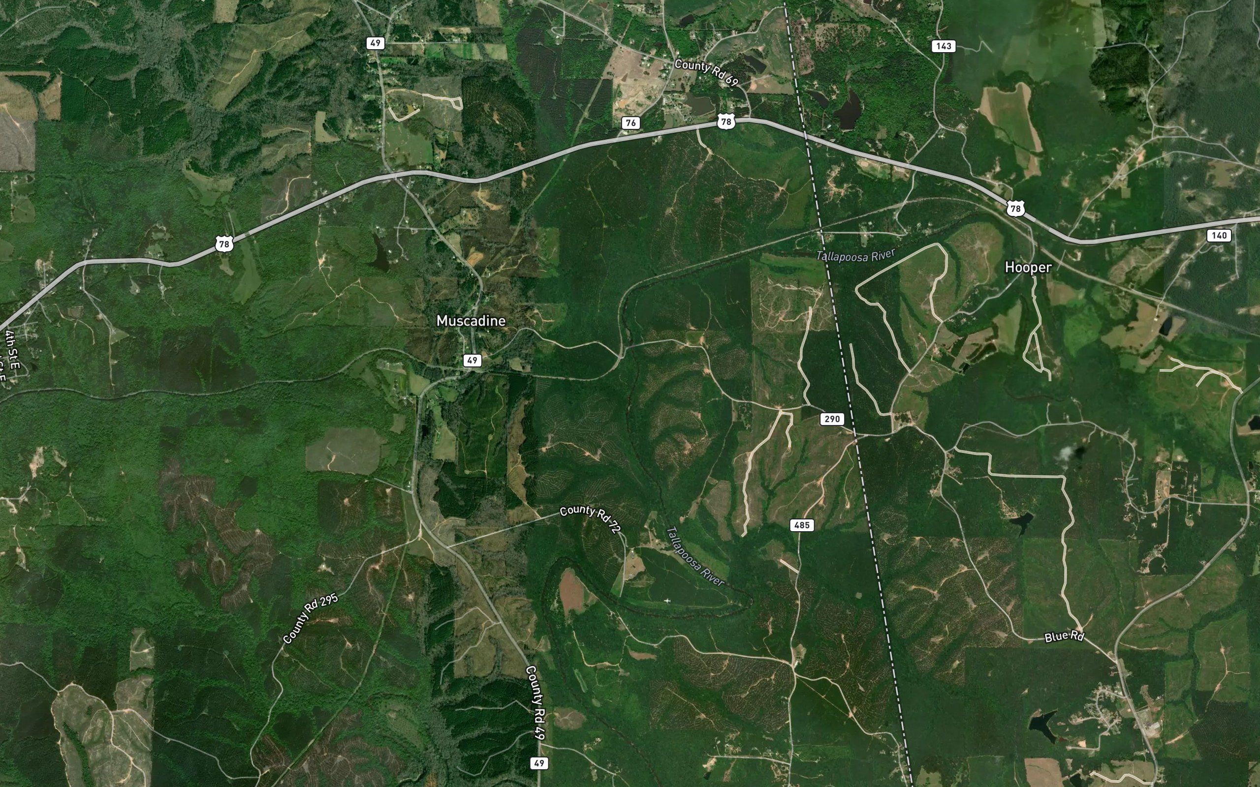Muscadine Creek
