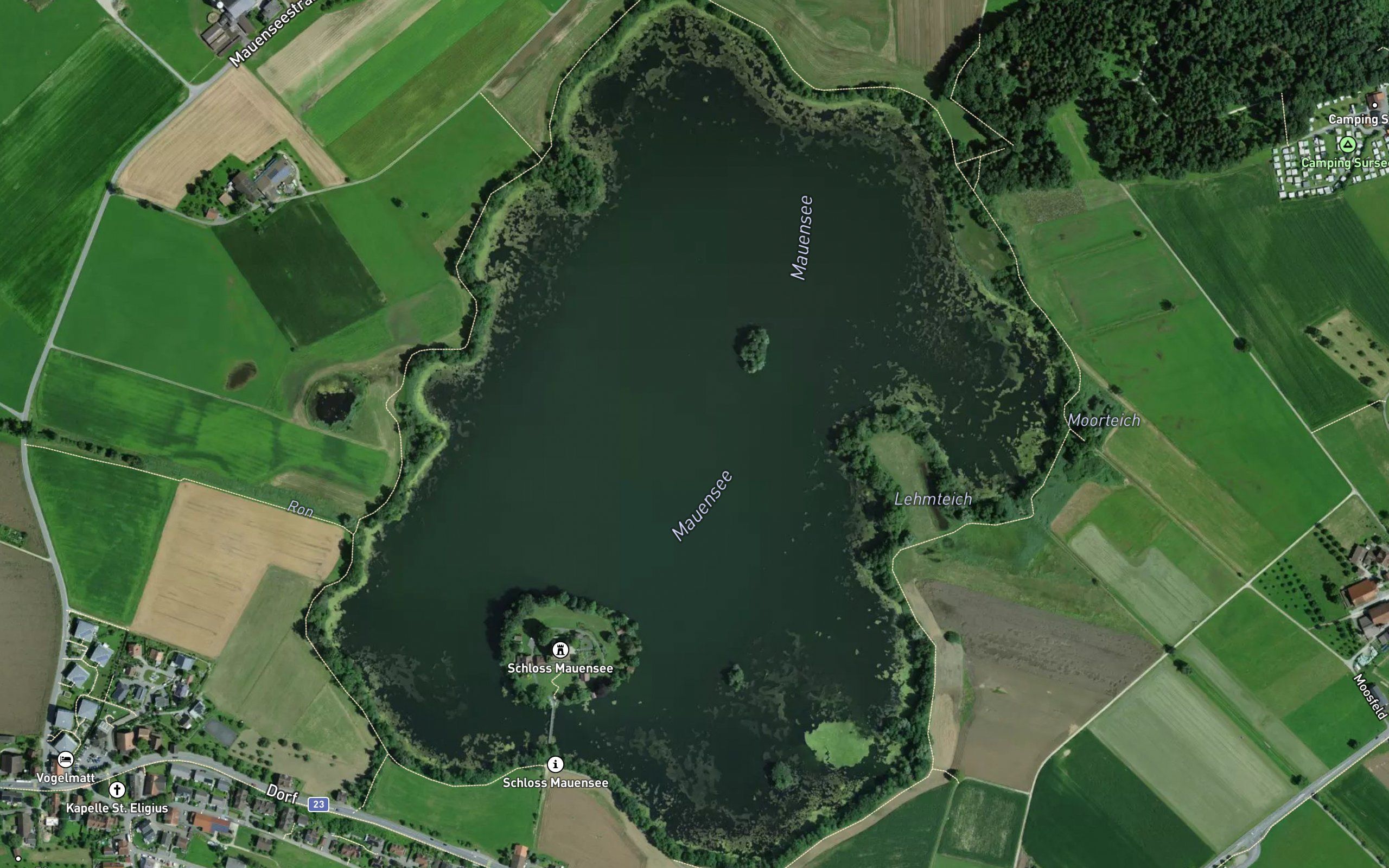 Mauensee
