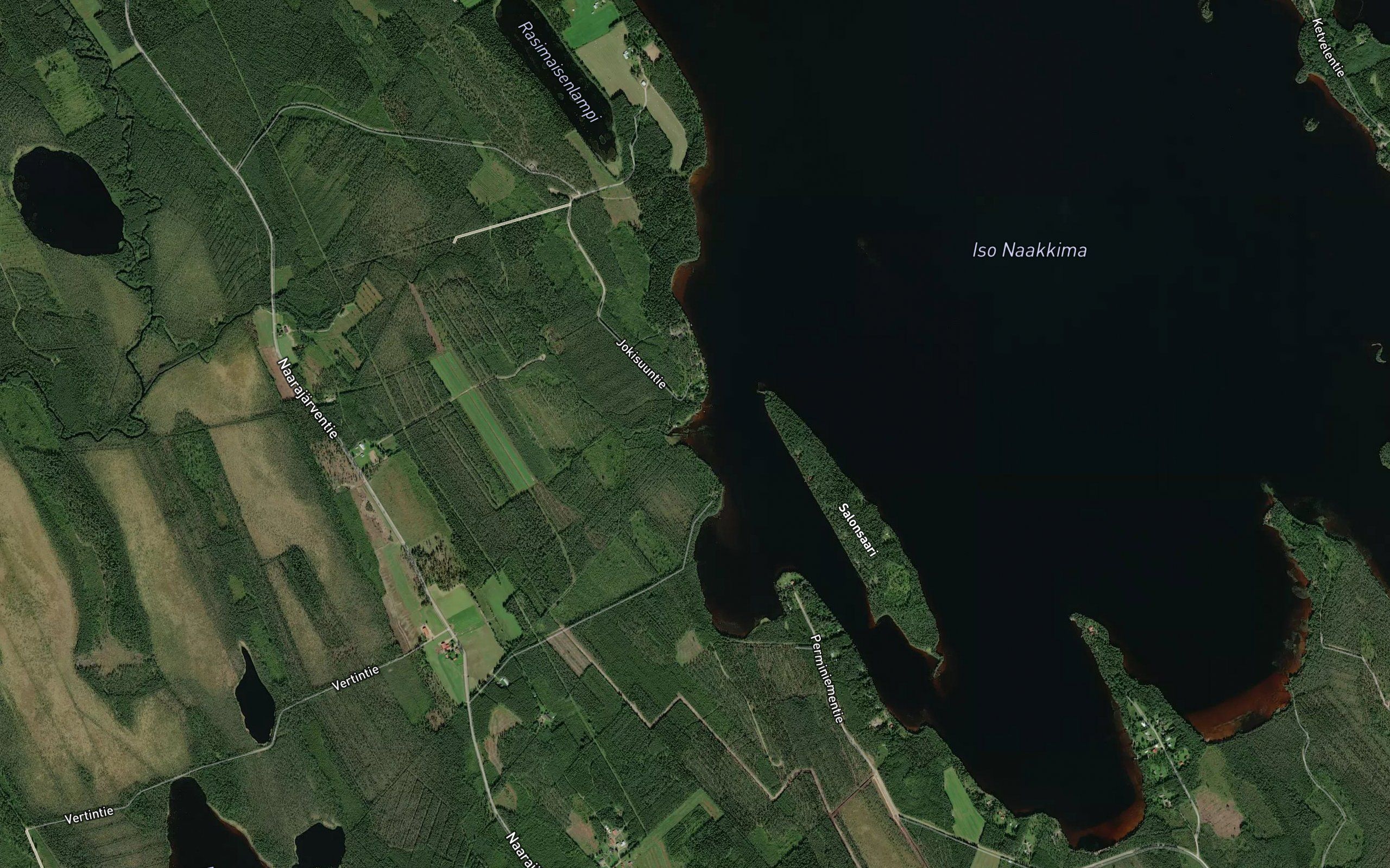 Maurunjoensuu