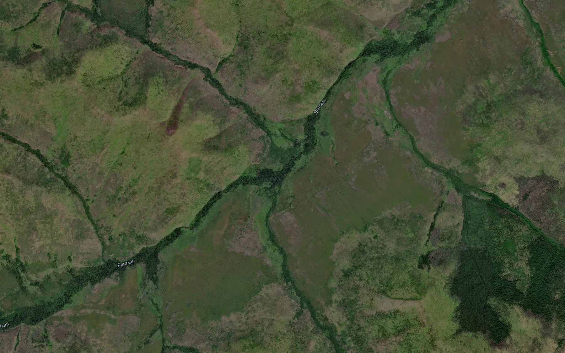 Satellite map of the Zmeinyy
