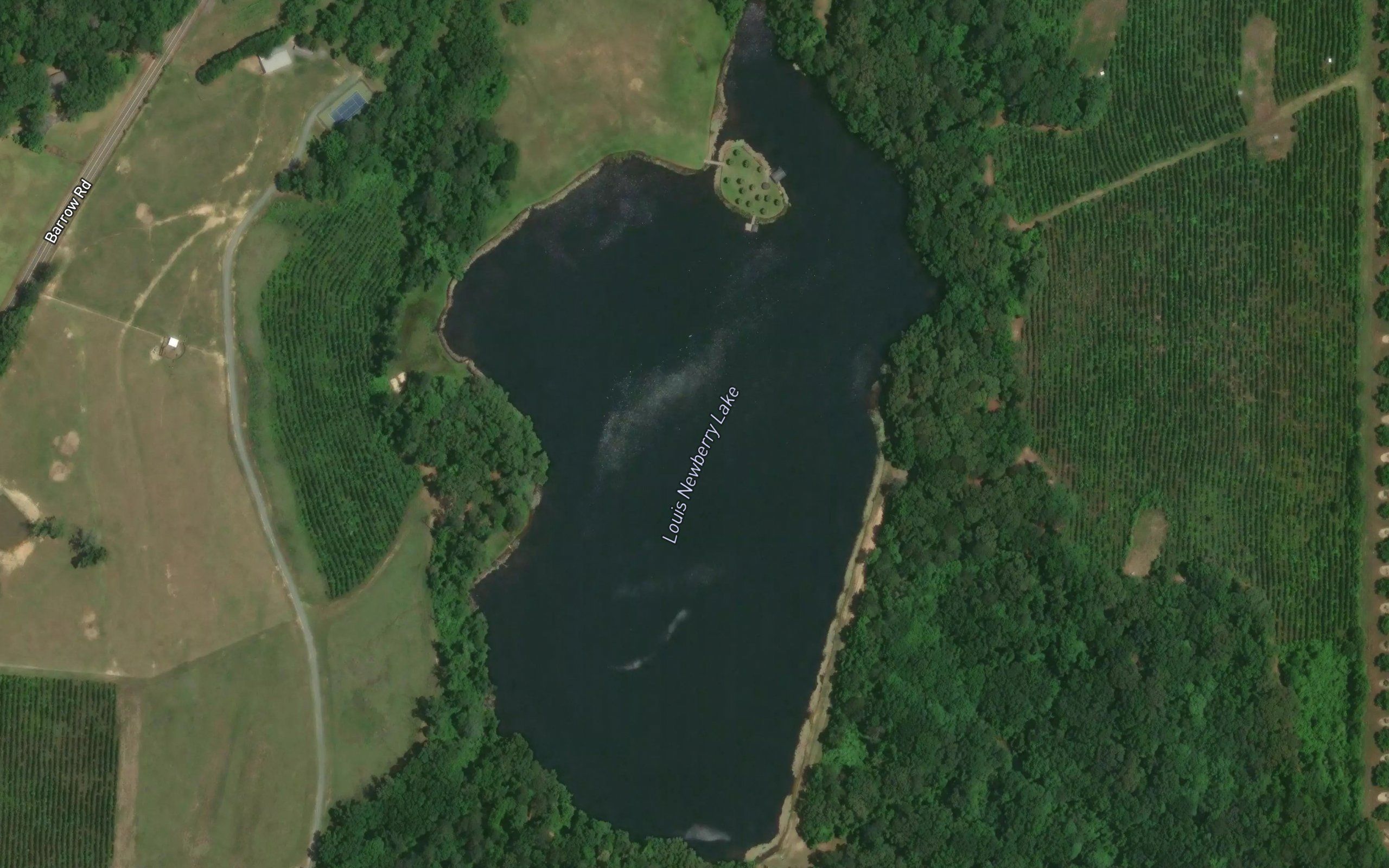 Louis Newberry Lake