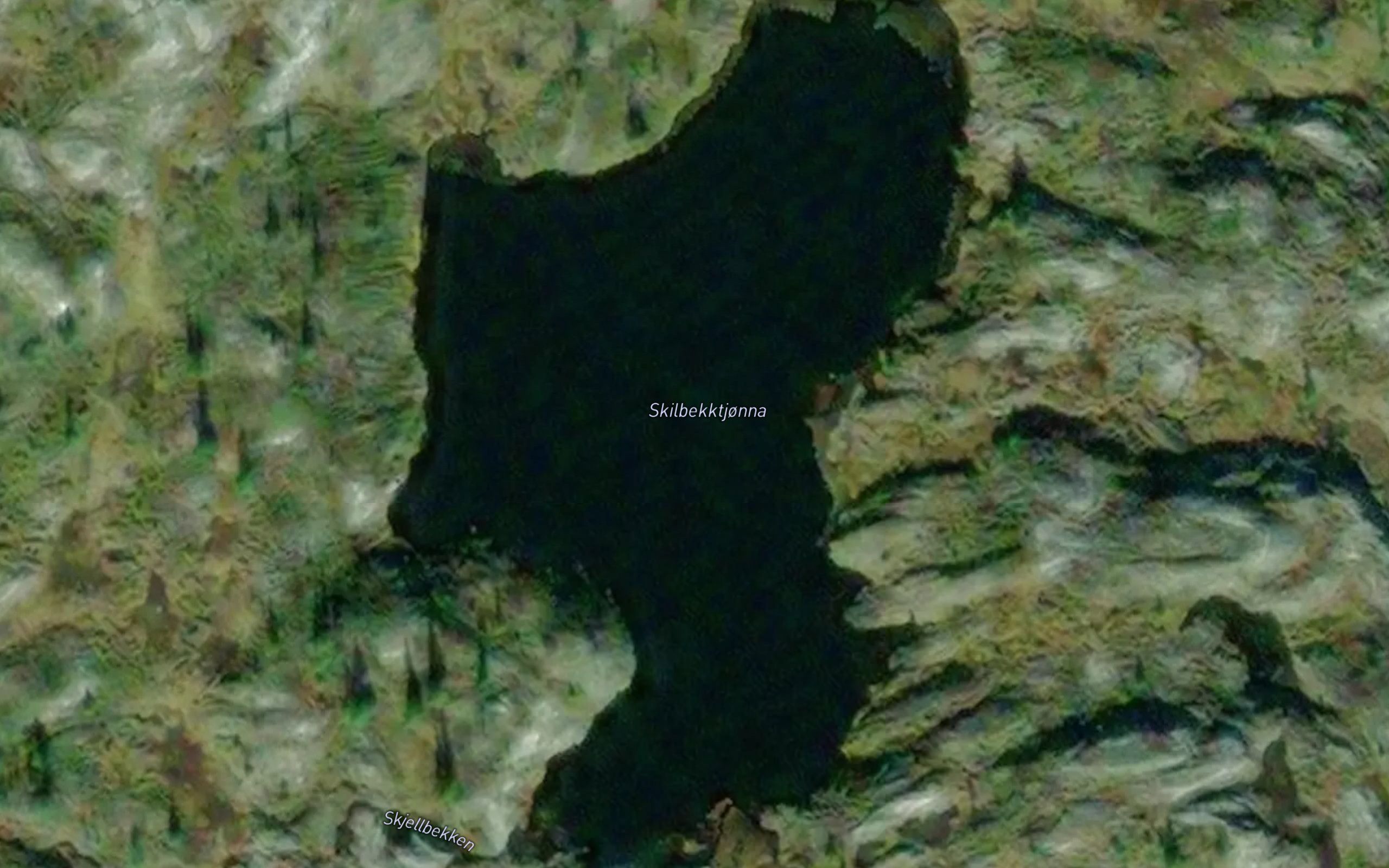 Skilbekktjorna
