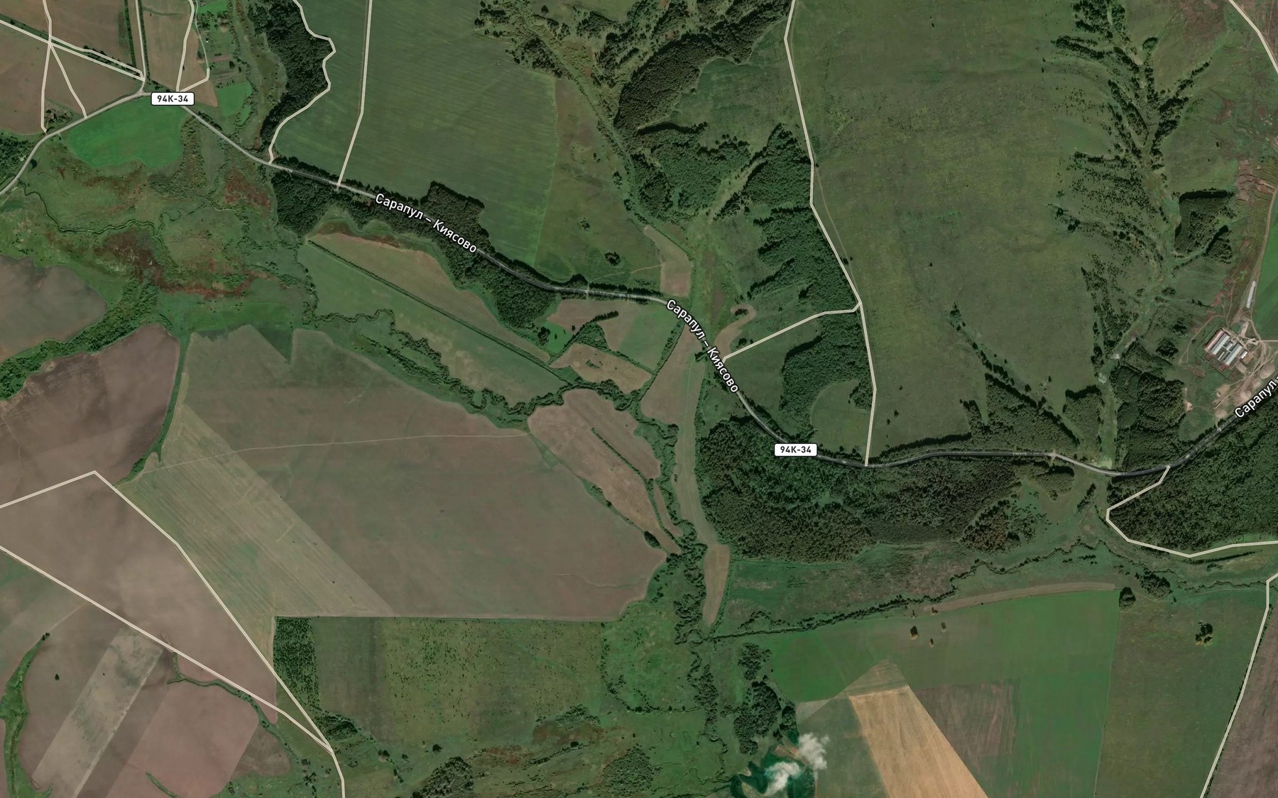 Satellite map of the Petrichinka