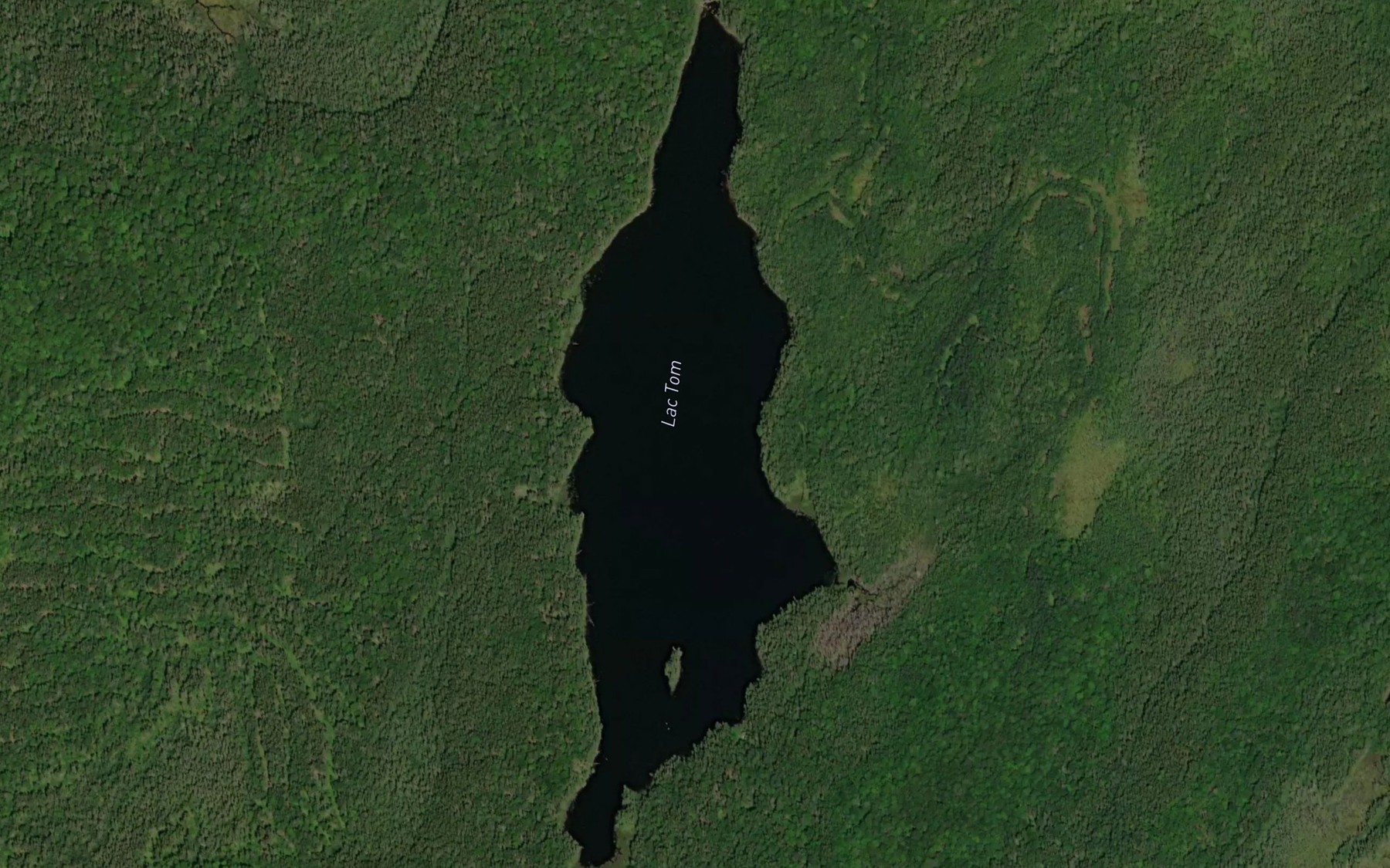 Satellite map of the Lac Tom