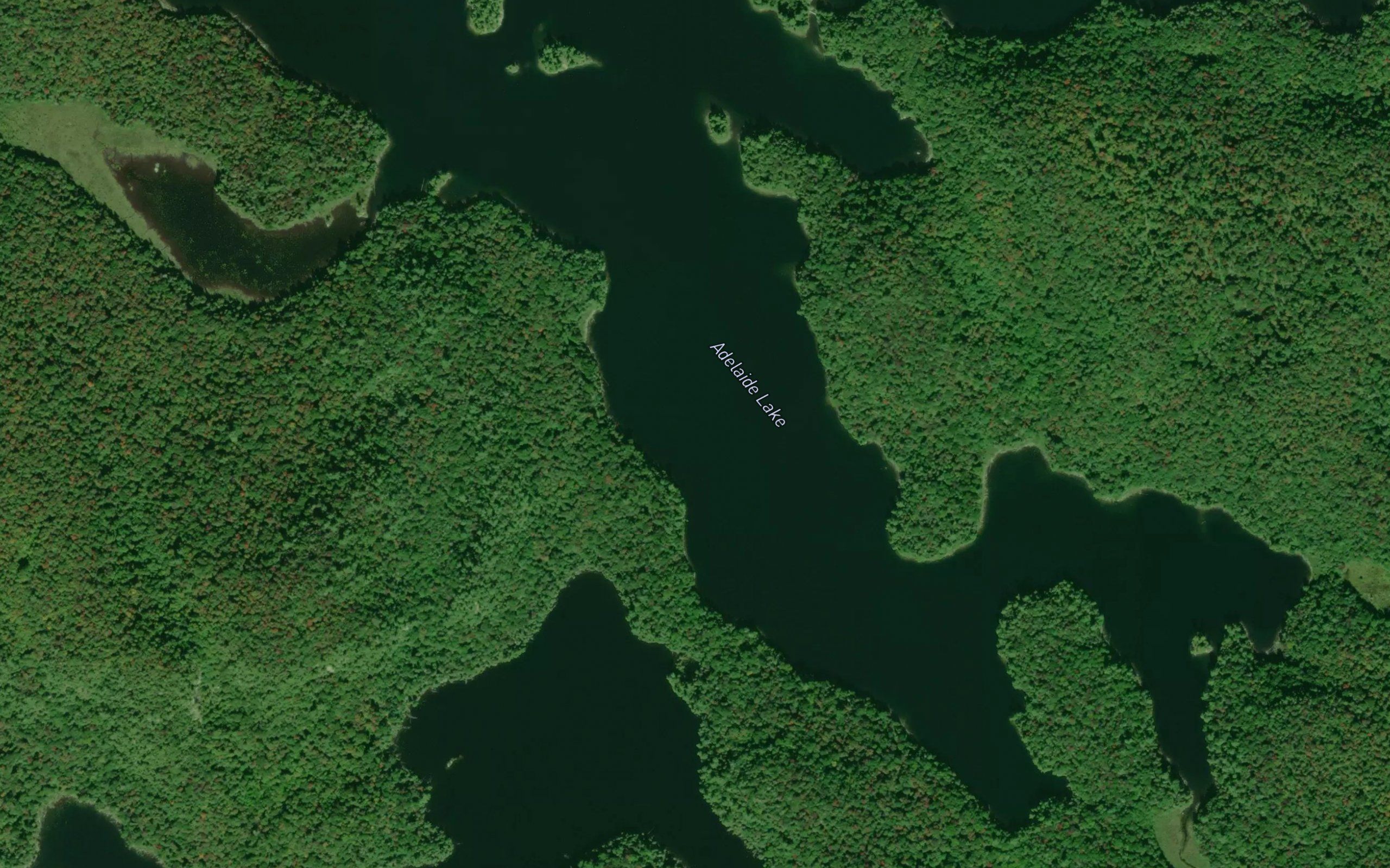 Adelaide Lake