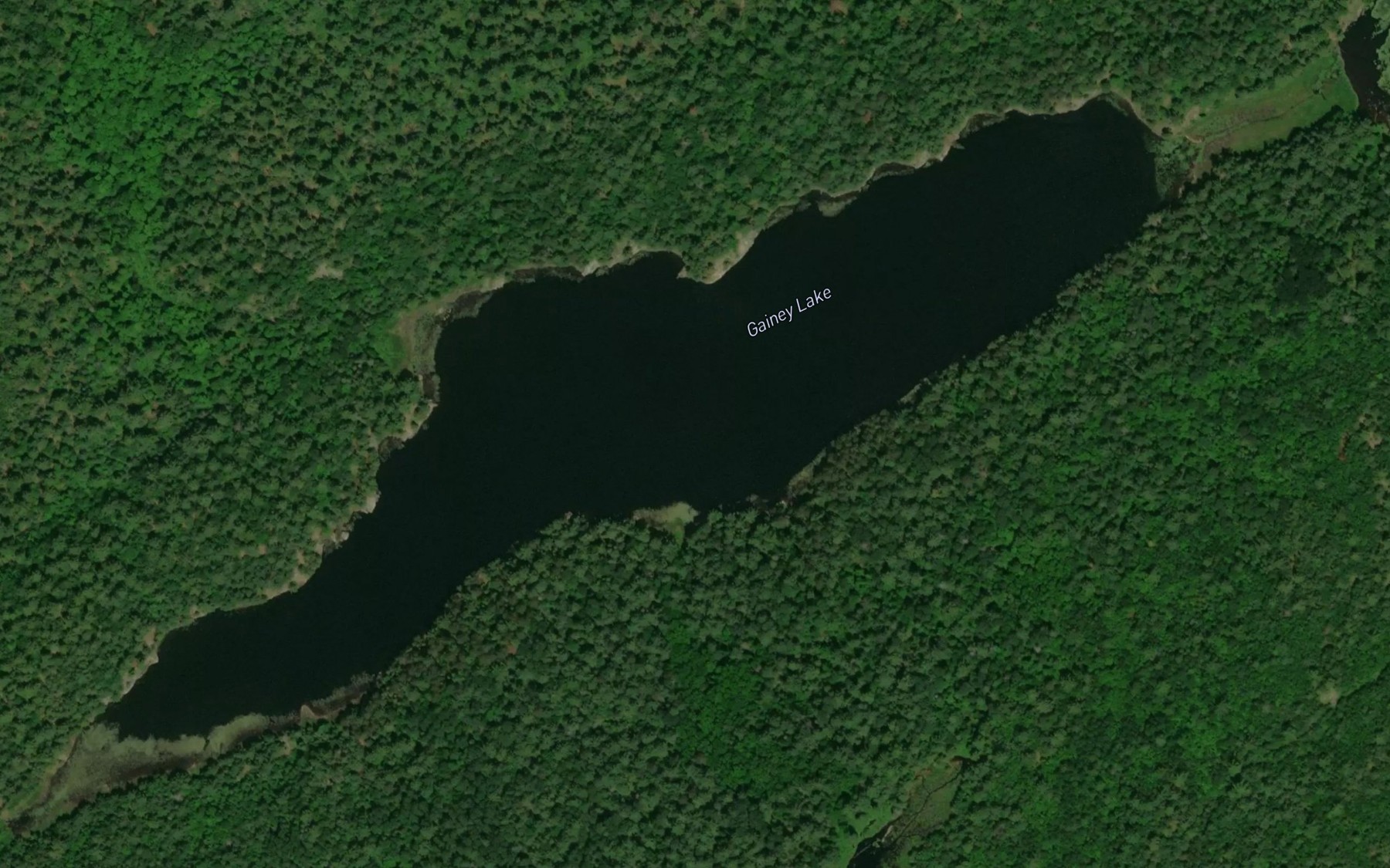 Satellite map of the Gainey Lake