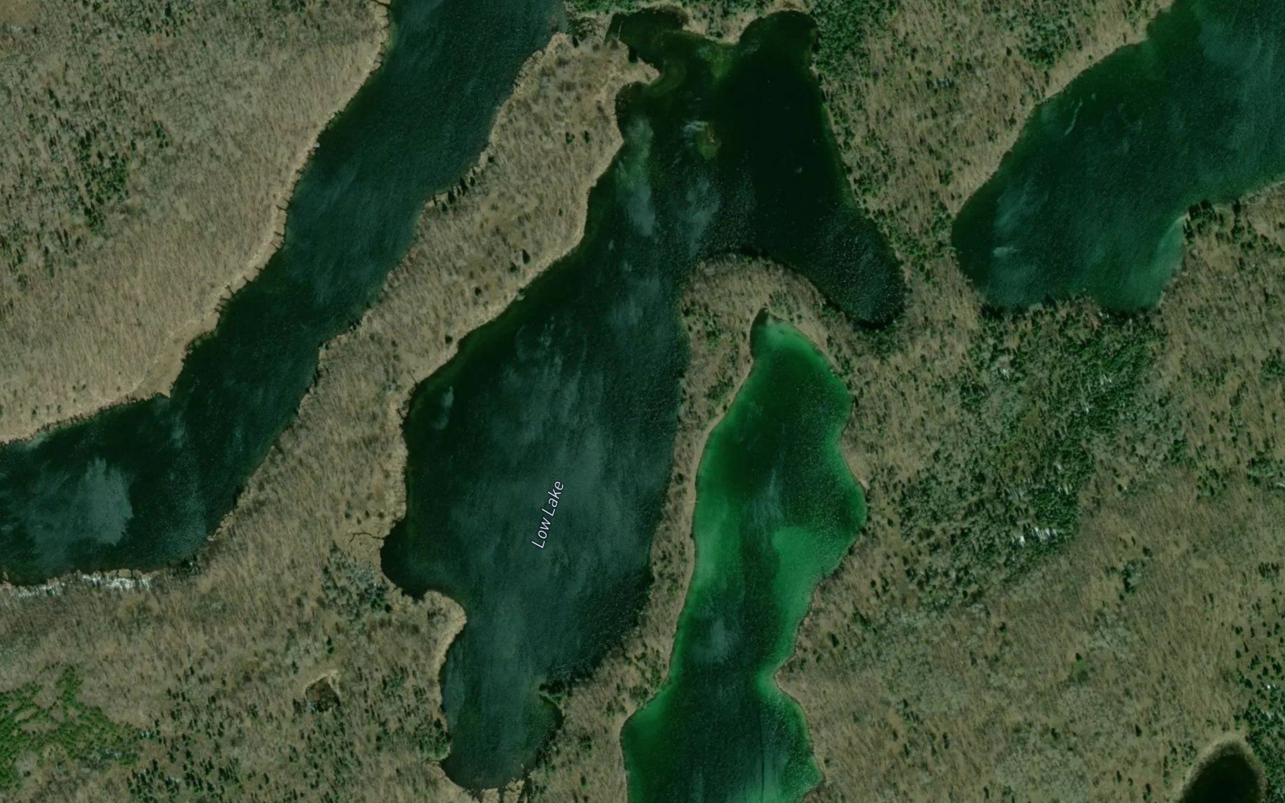 Low Lake