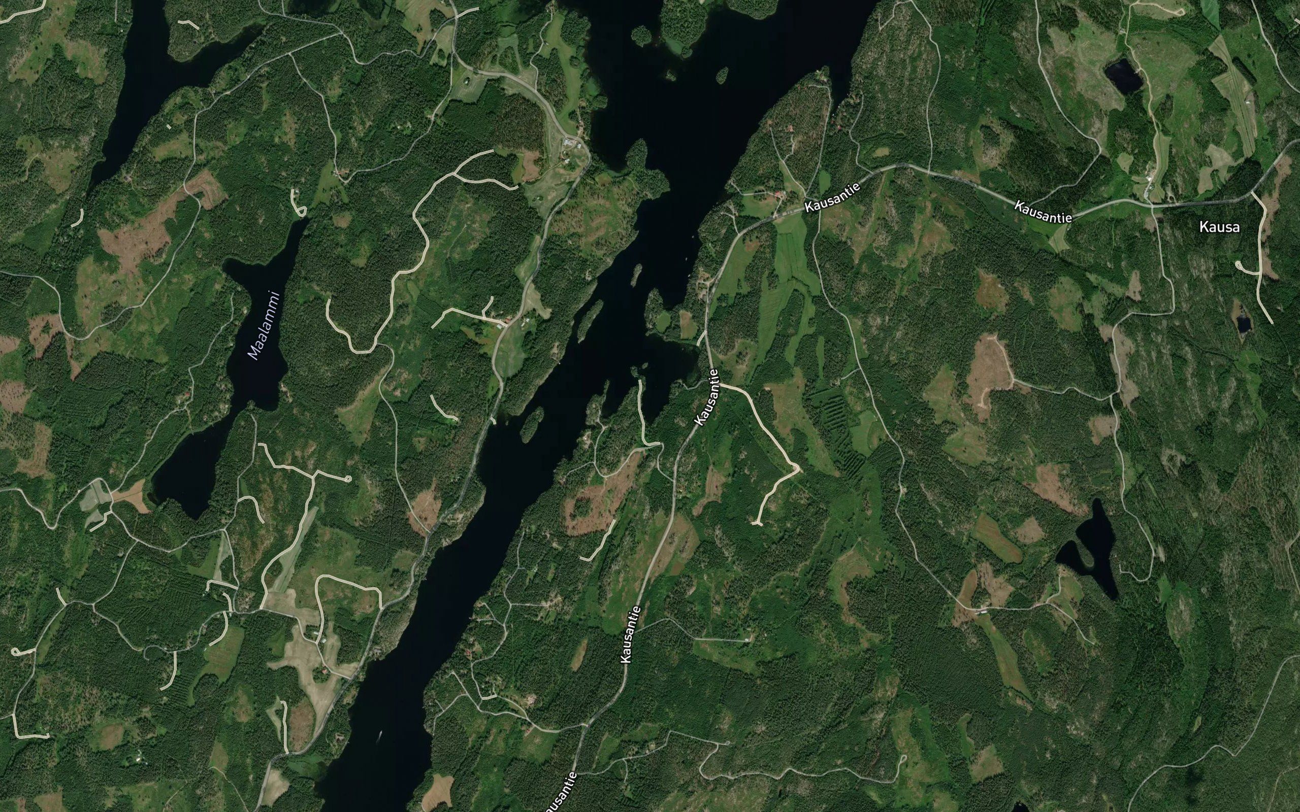 Virhunginpohja
