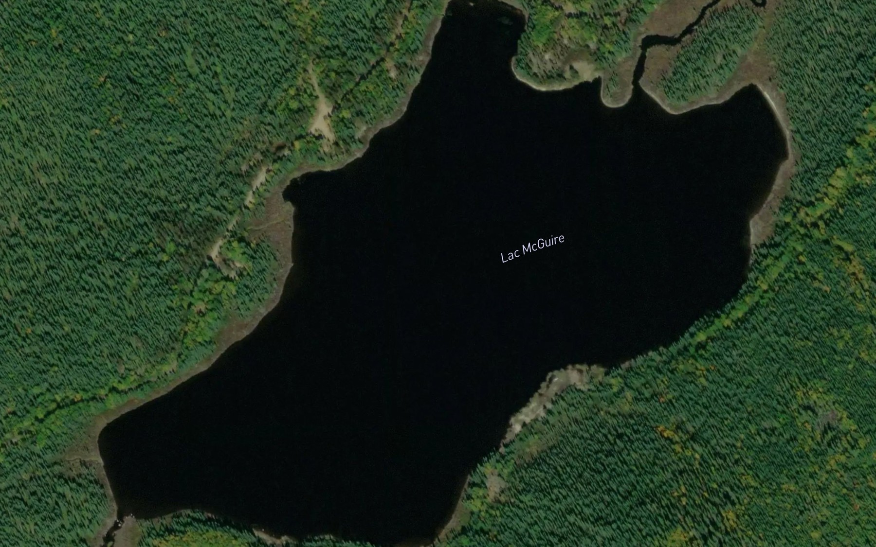 Satellite map of the Lac McGuire